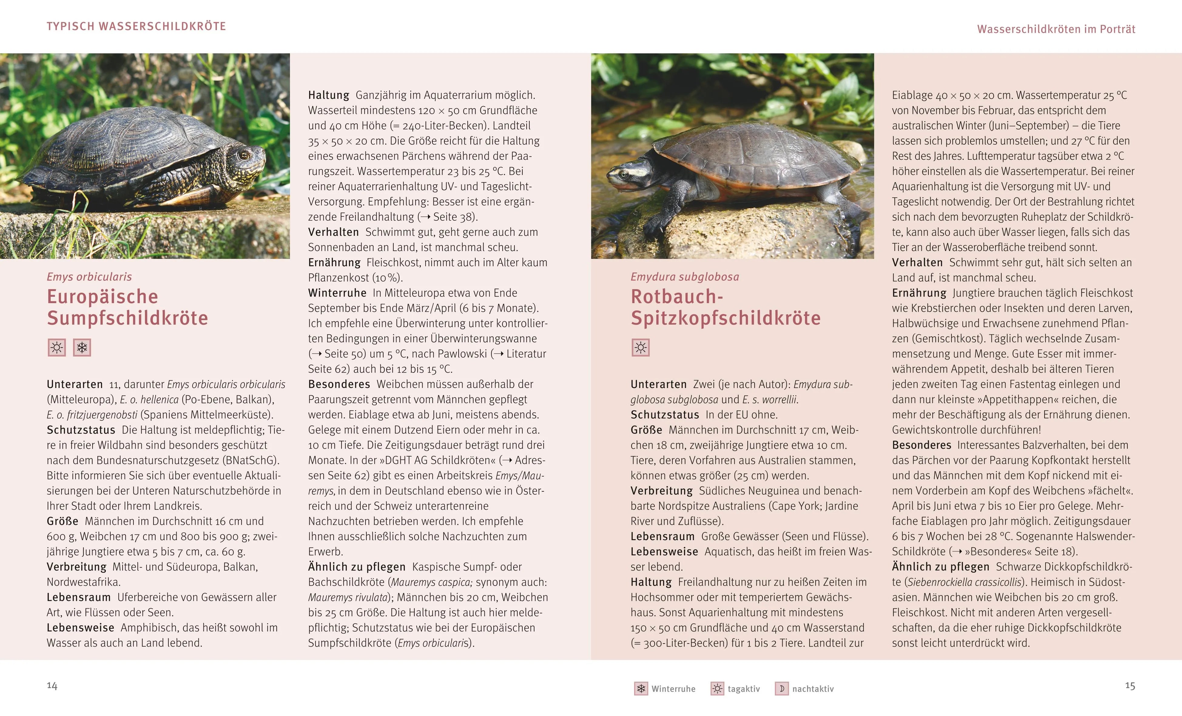 Produktansicht: Wasserschildkröten (Taschenbuch)