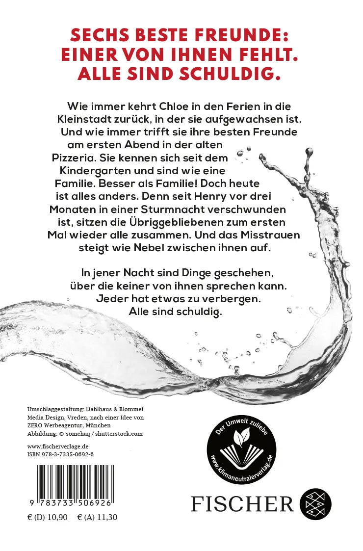 Buchrückseite von 'Wave of Lies' mit Klappentext - Taschenbuch