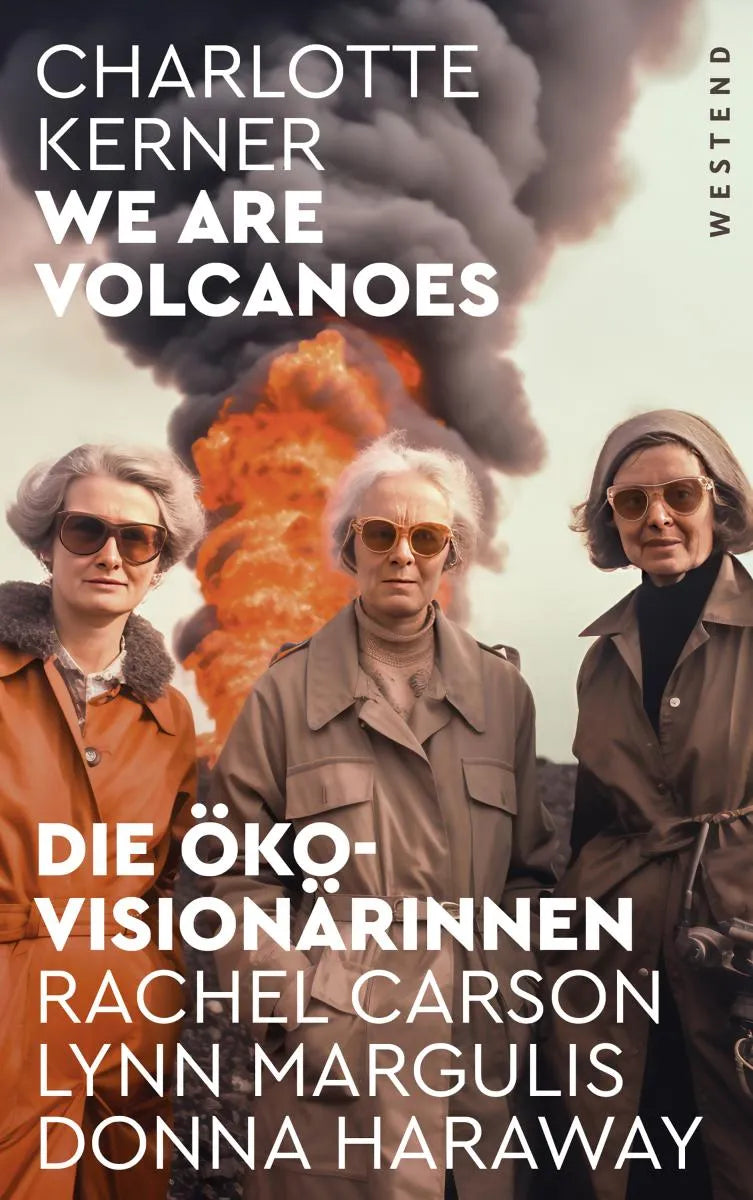 Cover: We are Volcanoes (E-Book) von Charlotte Kerner