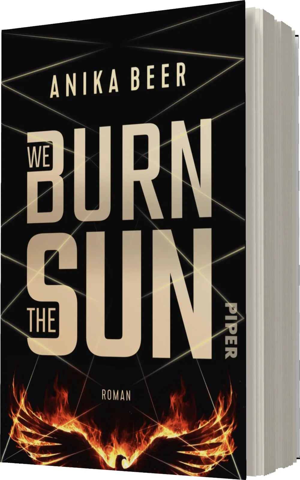 Anika Beer - We Burn the Sun