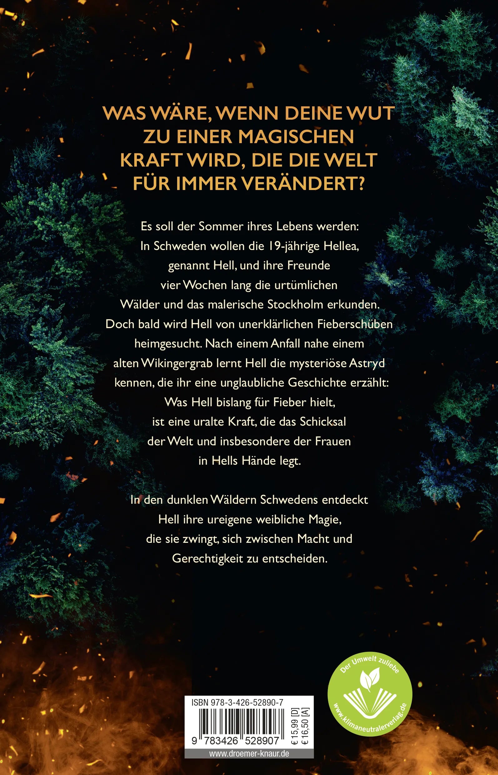 Buchrückseite von 'We Will Give You Hell' mit Klappentext - Paperback