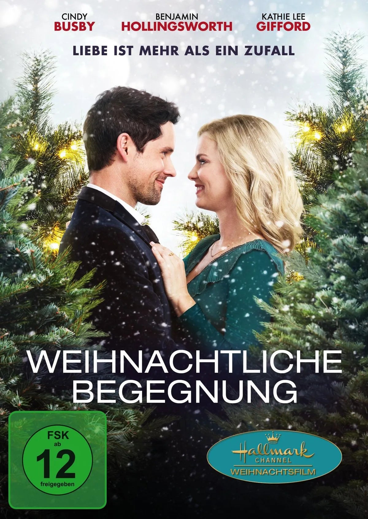 Weihnachtliche Begegnung - Liebe ist mehr als ei - DVD