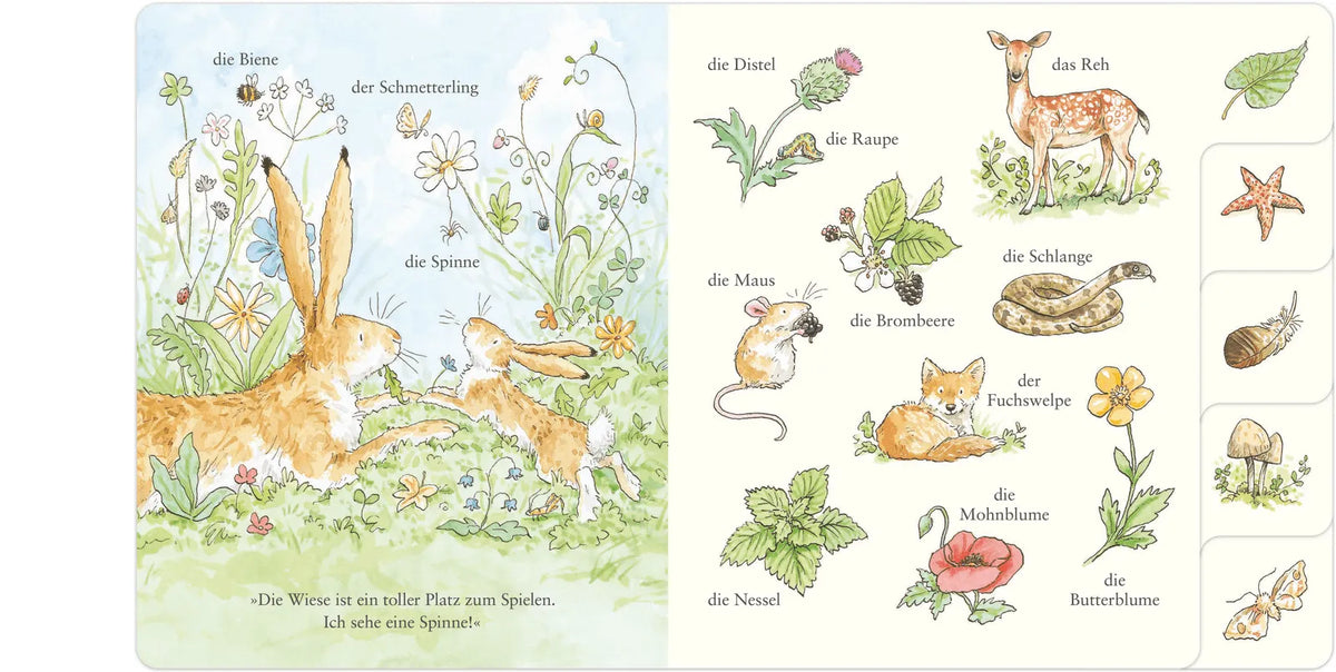 Detailansicht: Weißt du eigentlich, wie lieb ich dich hab? Wir entdecken die Natur (Hardcover)