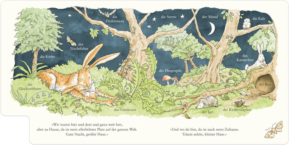 Detailansicht: Weißt du eigentlich, wie lieb ich dich hab? Wir entdecken die Natur (Hardcover)