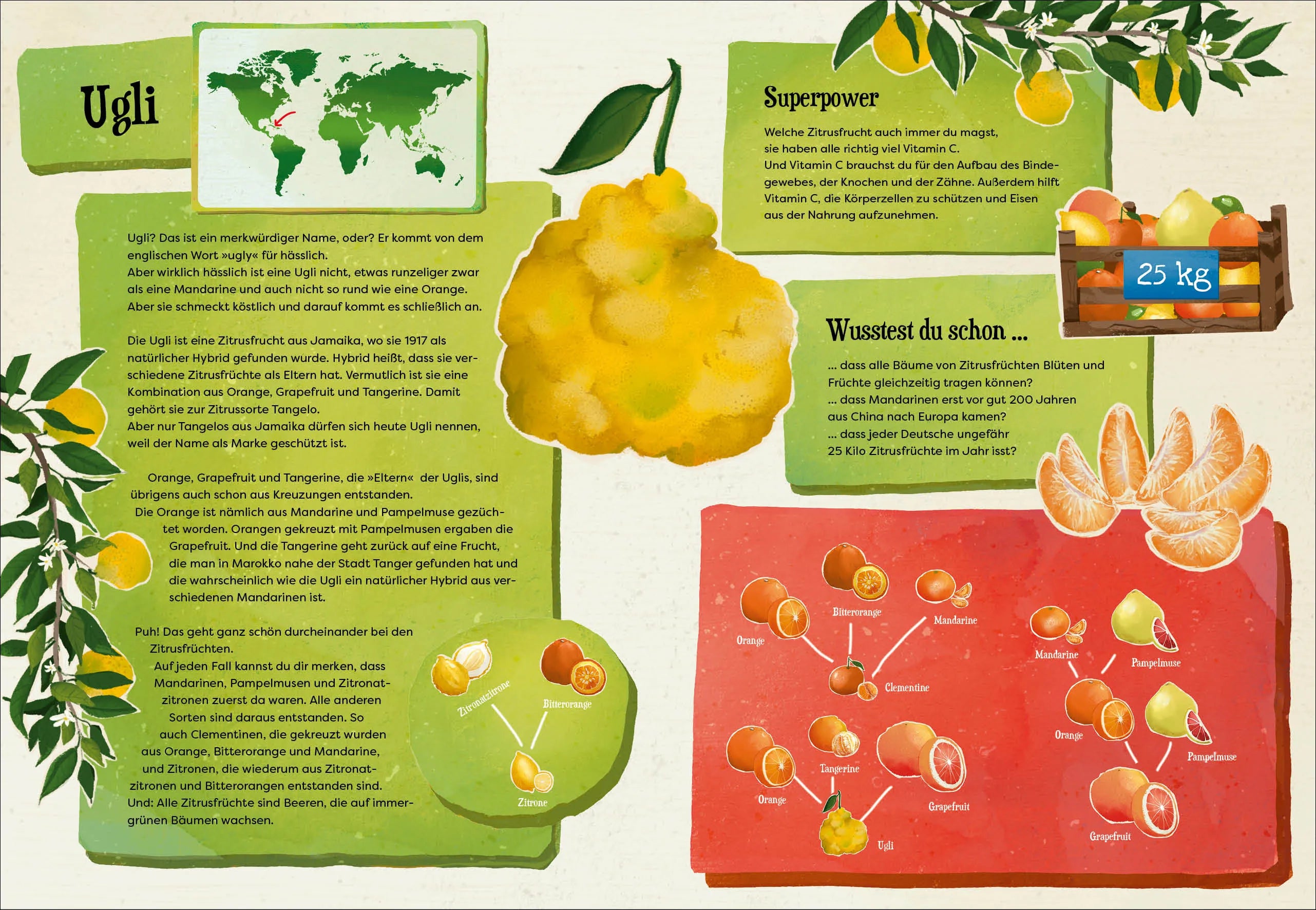 Produktansicht: Weißt du, wo der Pfeffer wächst? – Erstaunliches Wissen von Ananas bis Zimt (Gebundene Ausgabe)