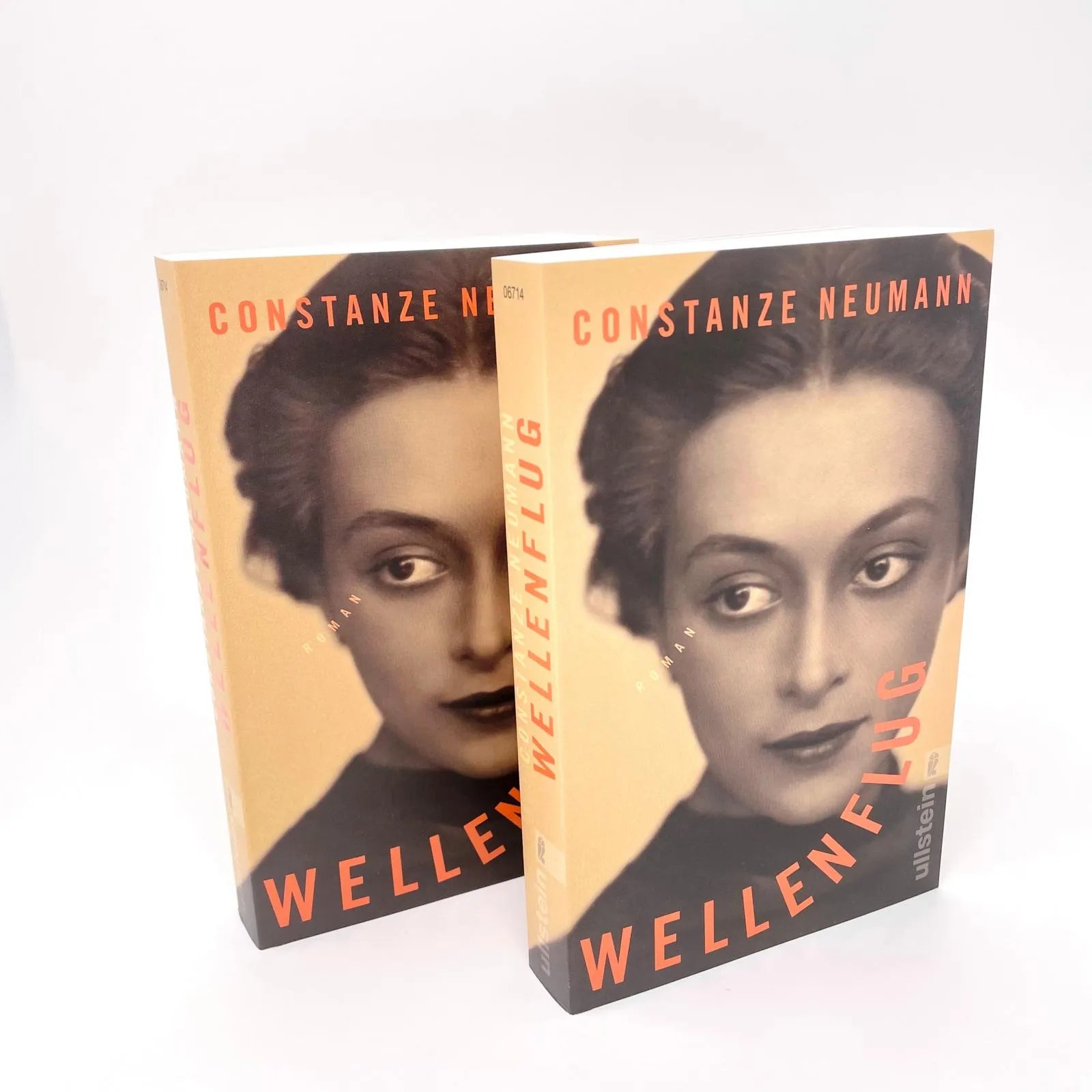 Abbildung von 'Wellenflug'