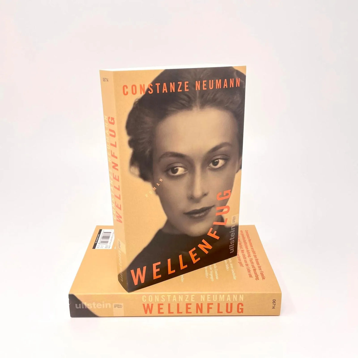 Detailansicht: Wellenflug (Taschenbuch)