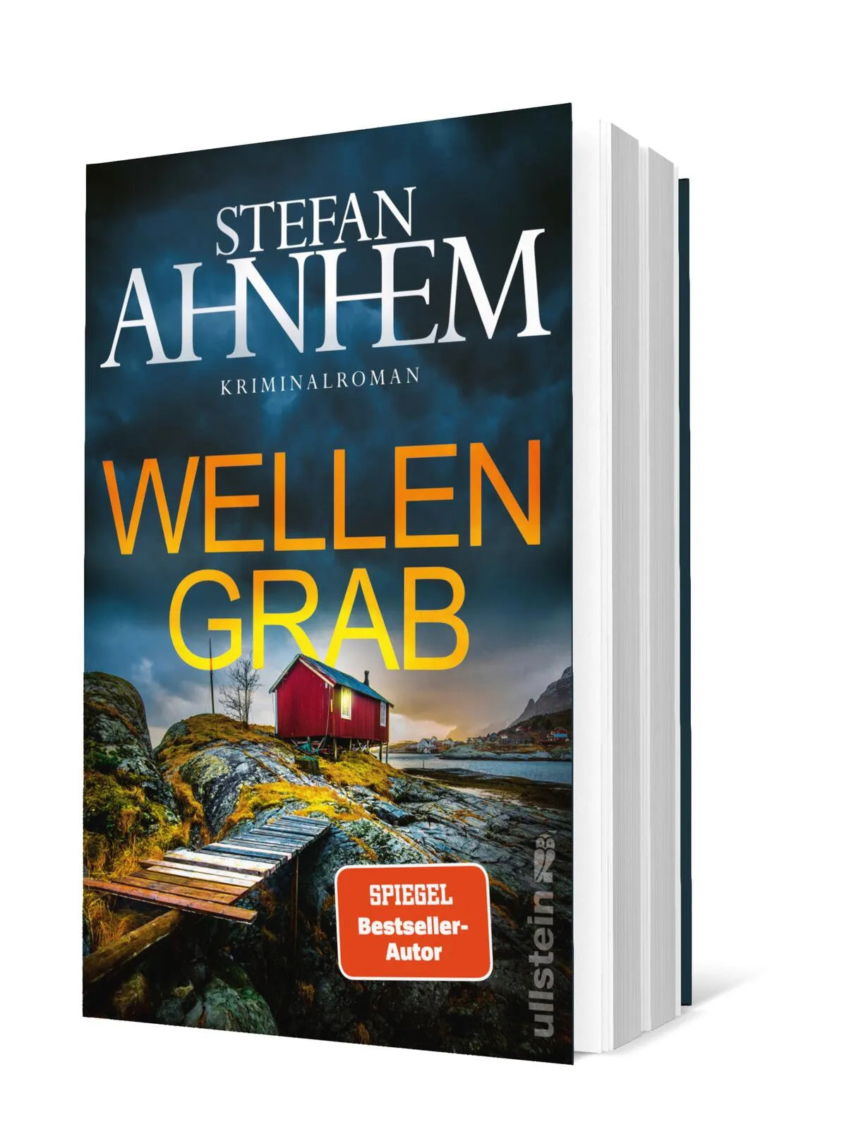 Produktansicht: Wellengrab (Paperback)