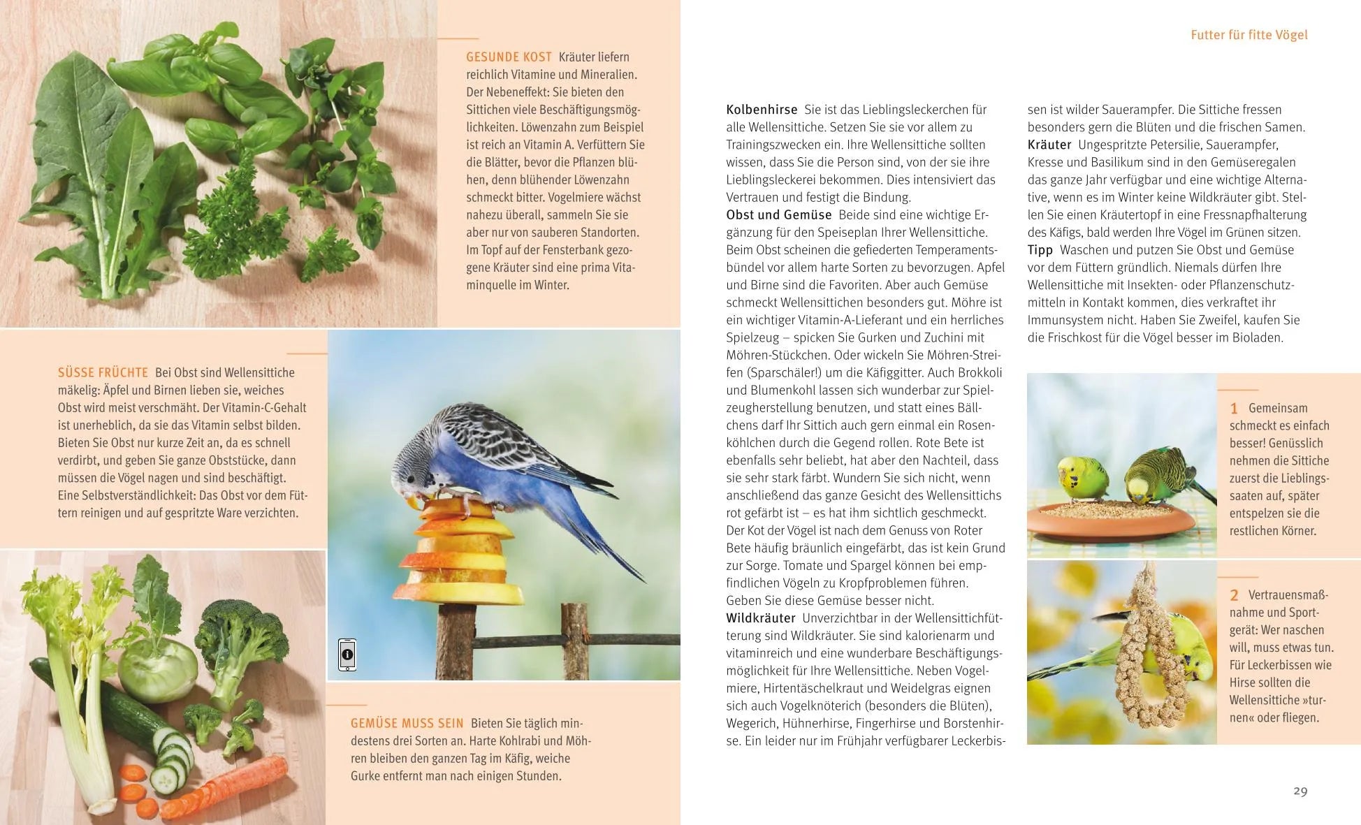 Produktansicht: Wellensittiche (Taschenbuch)