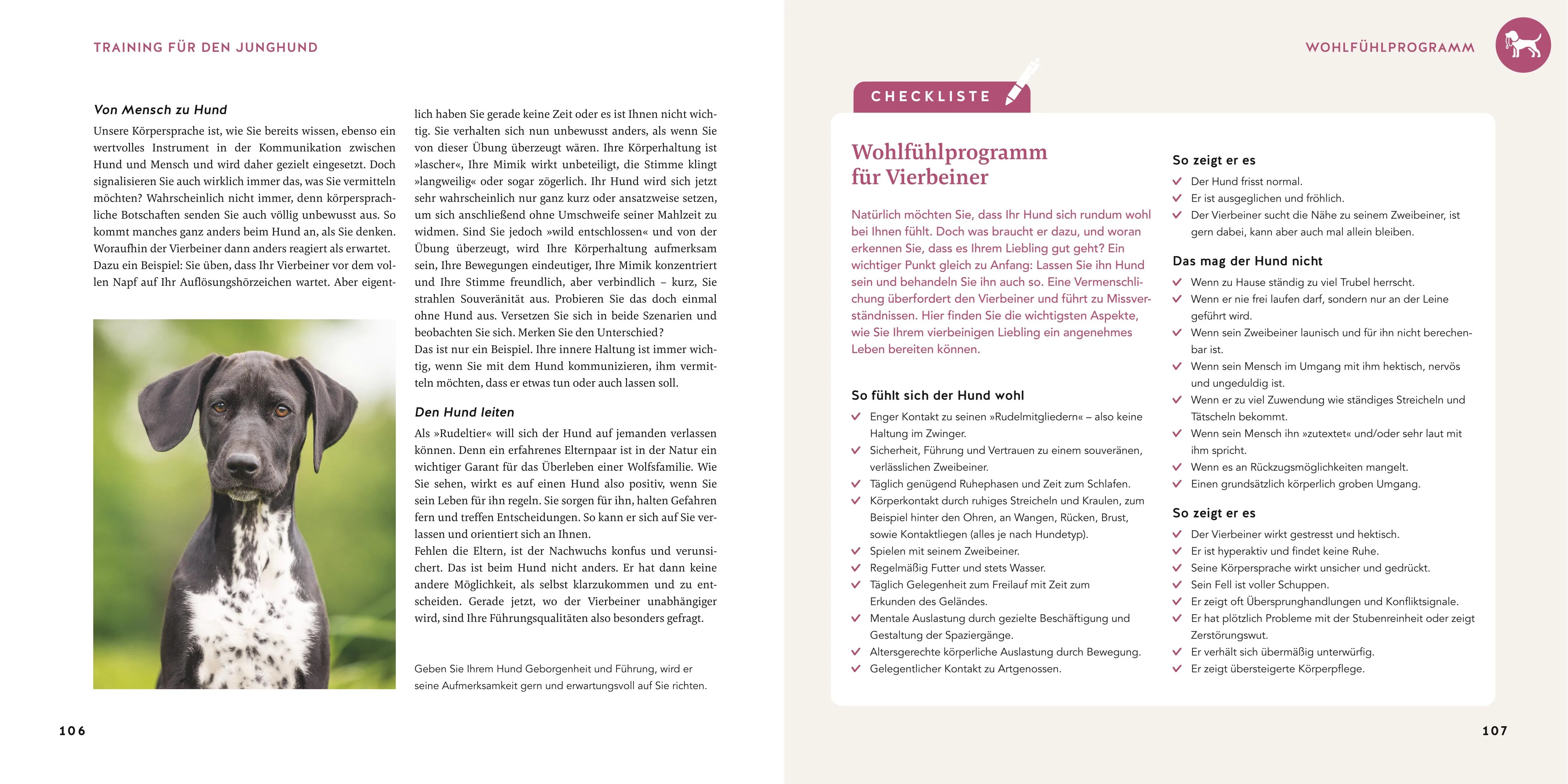 Detailansicht: Welpen-Erziehung (Taschenbuch)