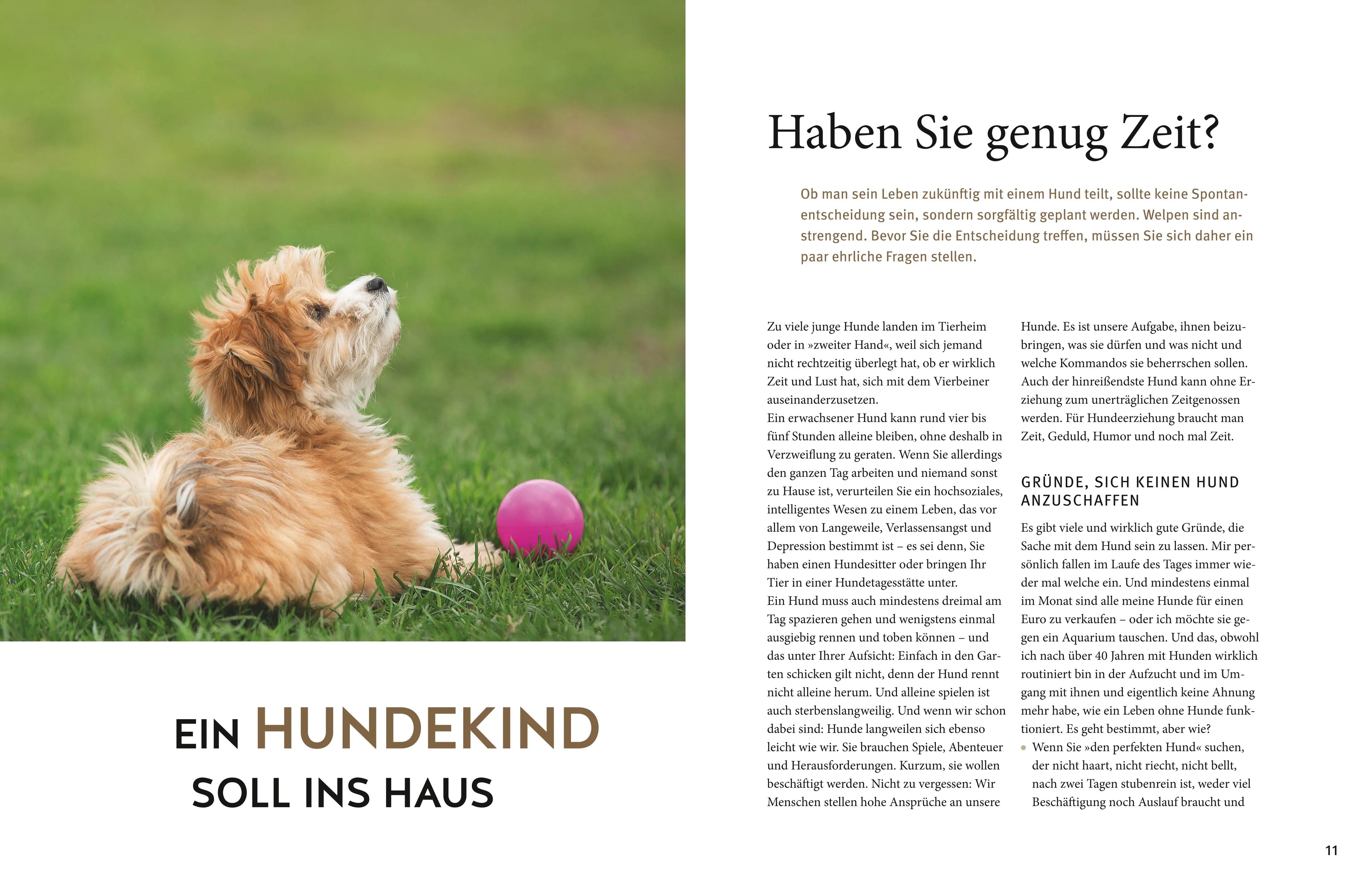Abbildung von 'Welpen-Praxisbuch'