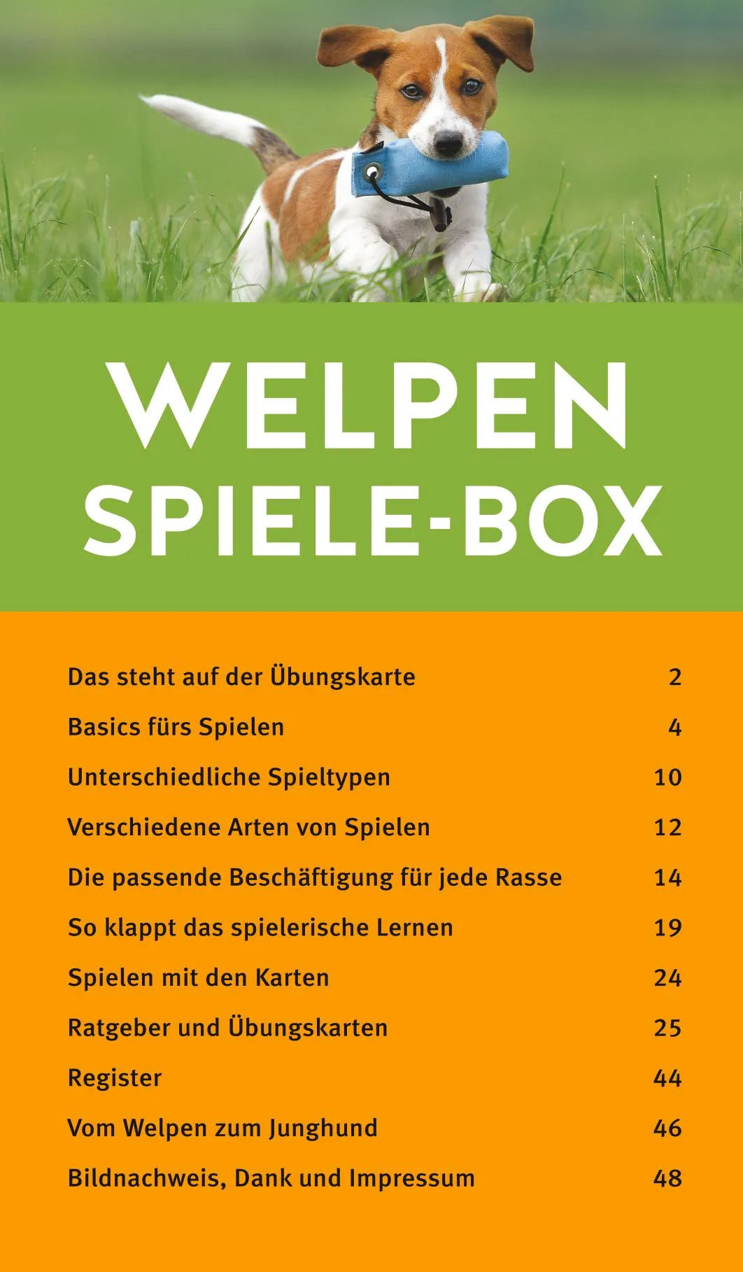 Innenansicht von 'Welpen-Spiele-Box' - Gebundene Ausgabe