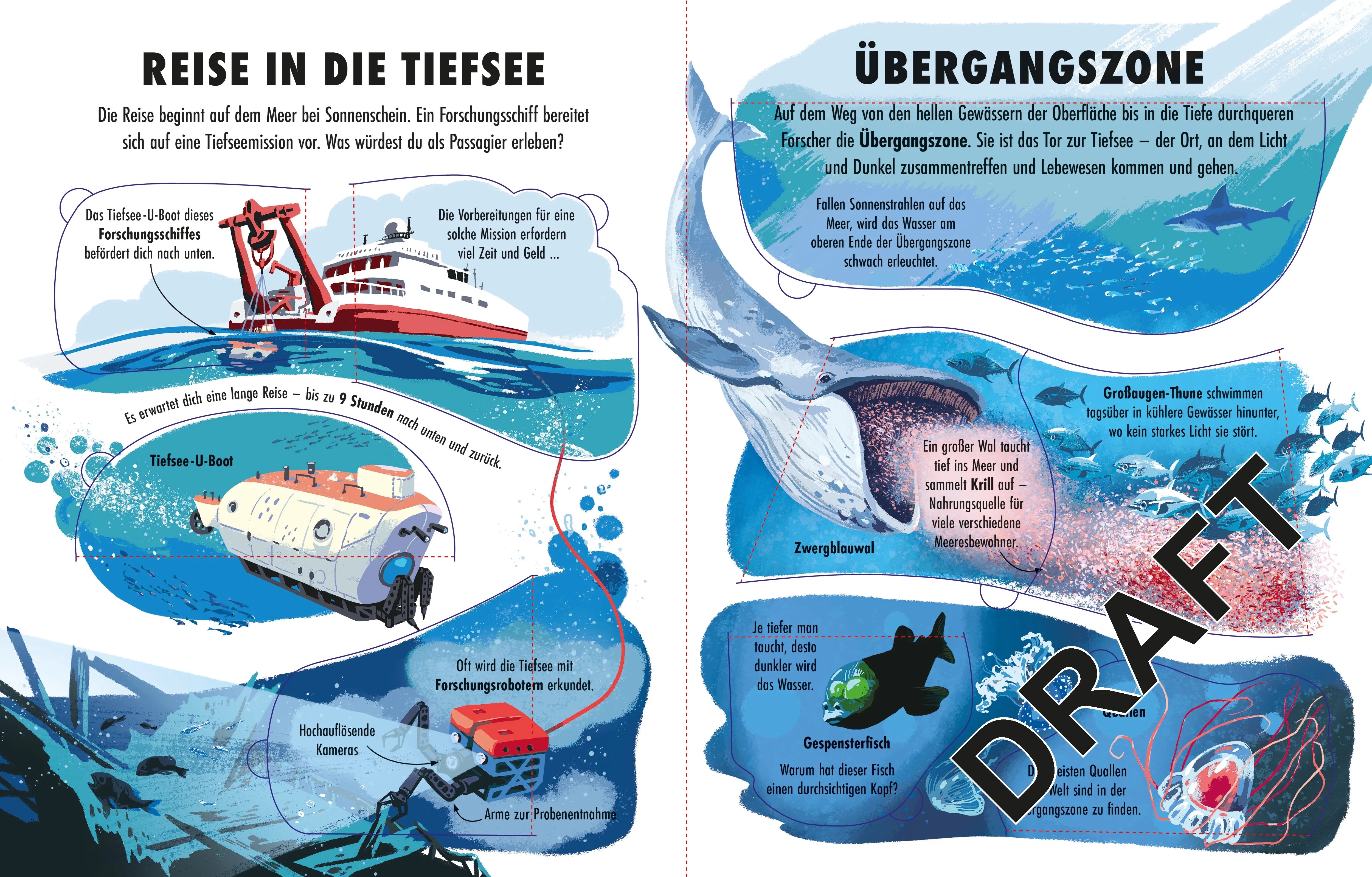 Laura Cowan - Welt der Extreme: Die Tiefsee