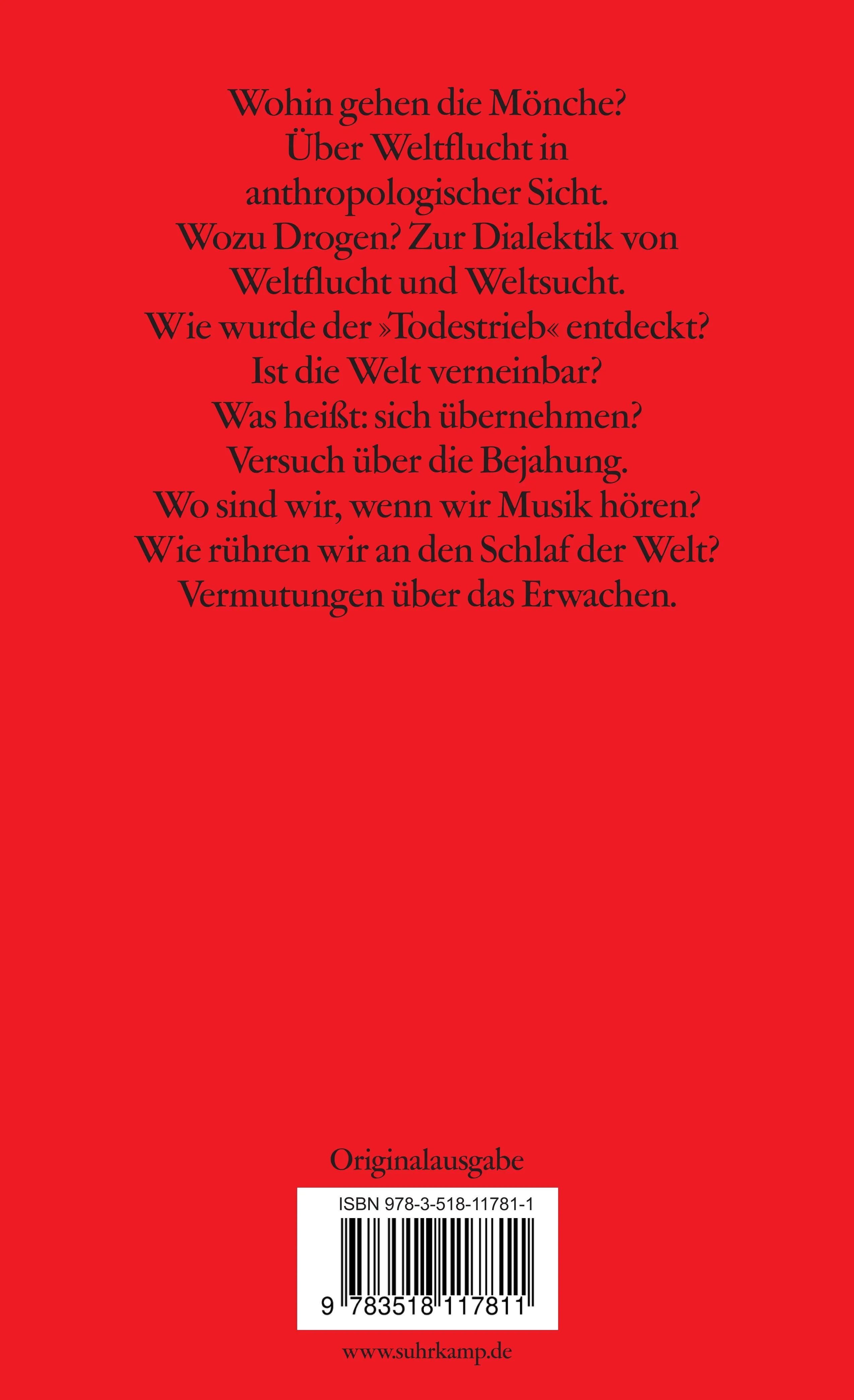 Buchrückseite von 'Weltfremdheit' mit Klappentext - Taschenbuch