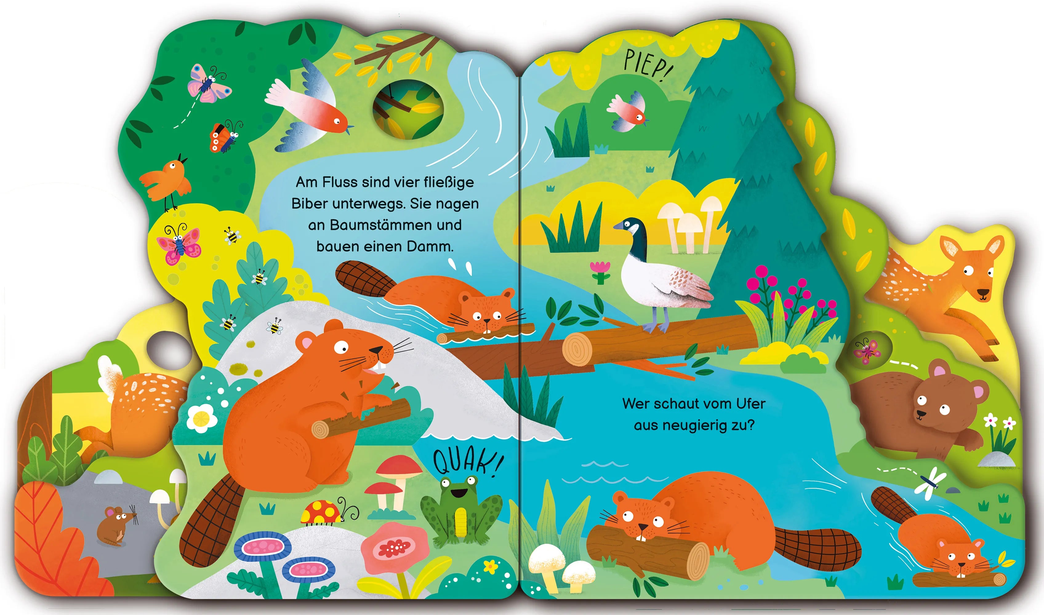 Detailansicht: Wen entdeckst du? Im Wald (Hardcover)