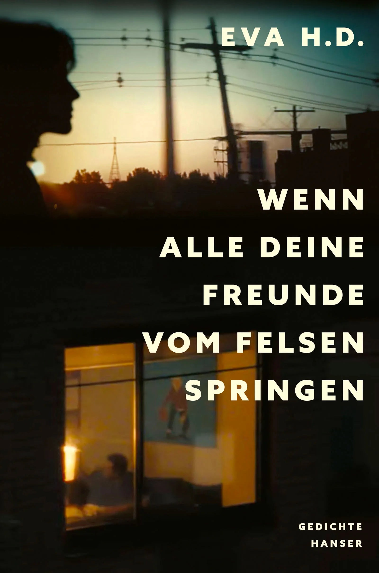 Buchcover von 'Wenn alle deine Freunde vom Felsen springen' - Gebundene Ausgabe von Eva H.D.