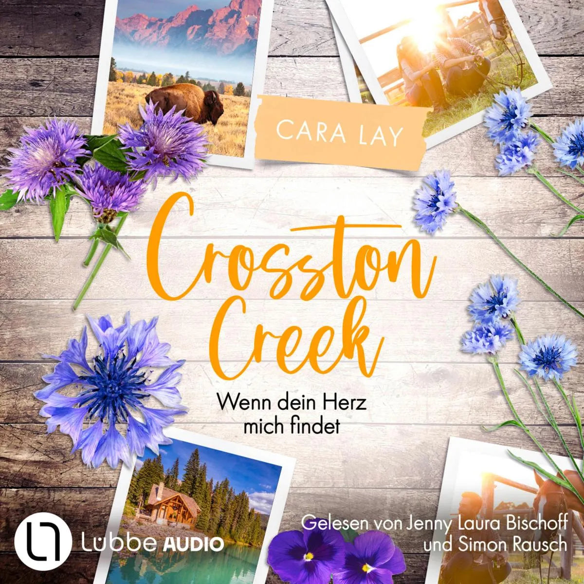 Cover: Wenn dein Herz mich findet (Hörbuch Download) von Cara Lay