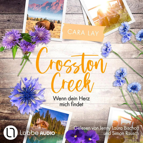Wenn dein Herz mich findet - Crosston Creek, Teil 3