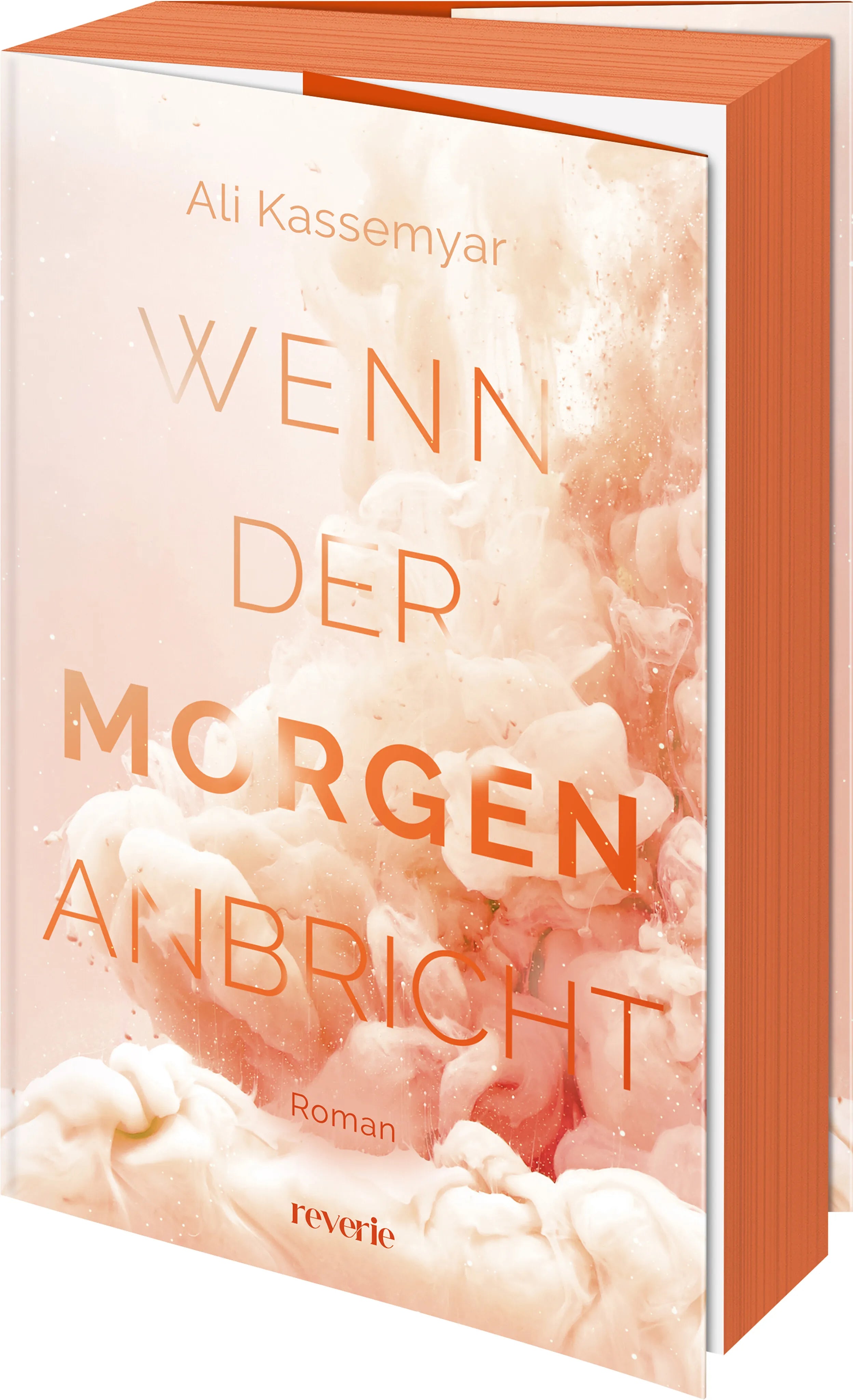 Cover: Wenn der Morgen anbricht (Paperback) von Ali Kassemyar