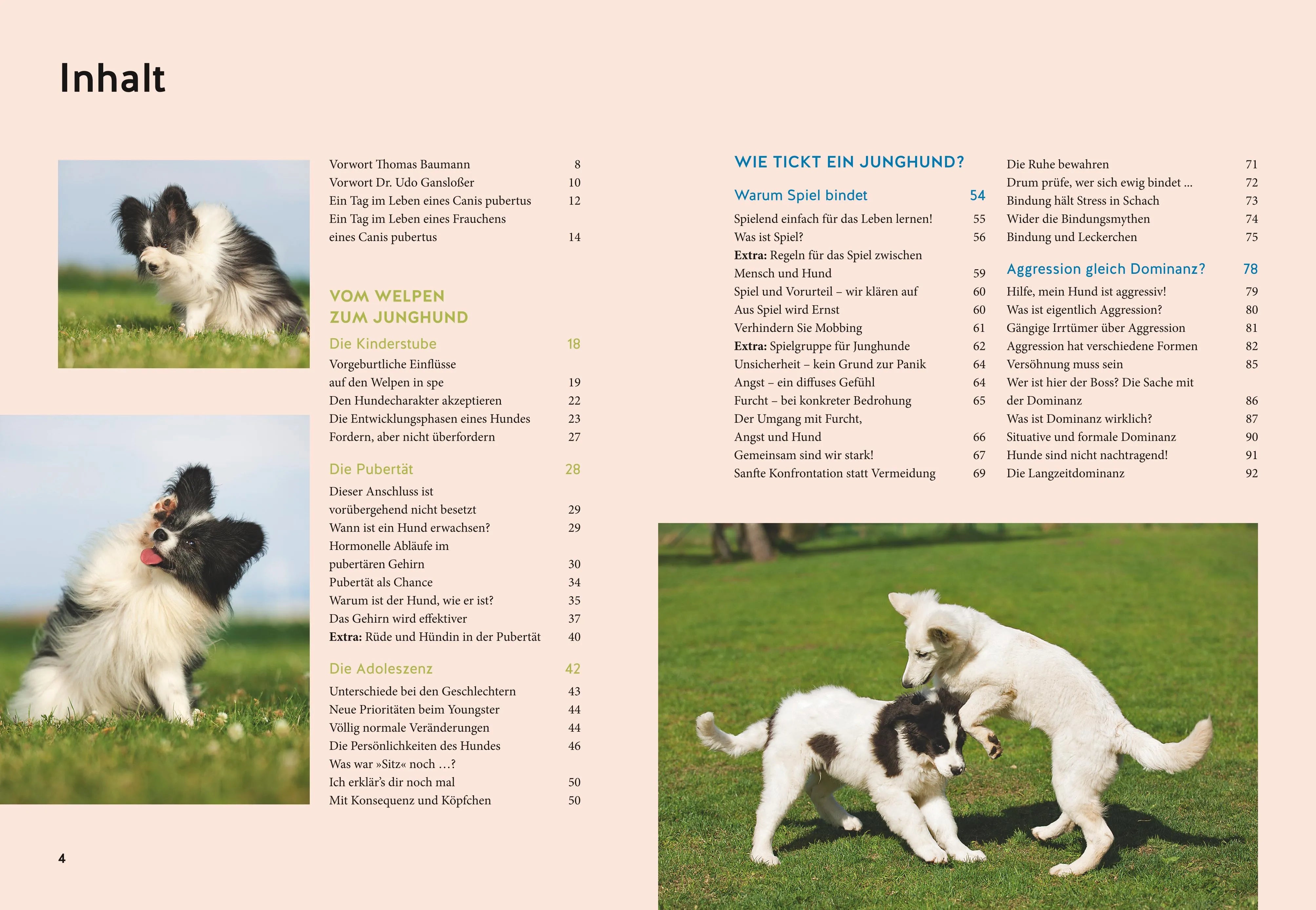 Sophie Strodtbeck - Wenn der Welpe zum halbstarken Hund wird