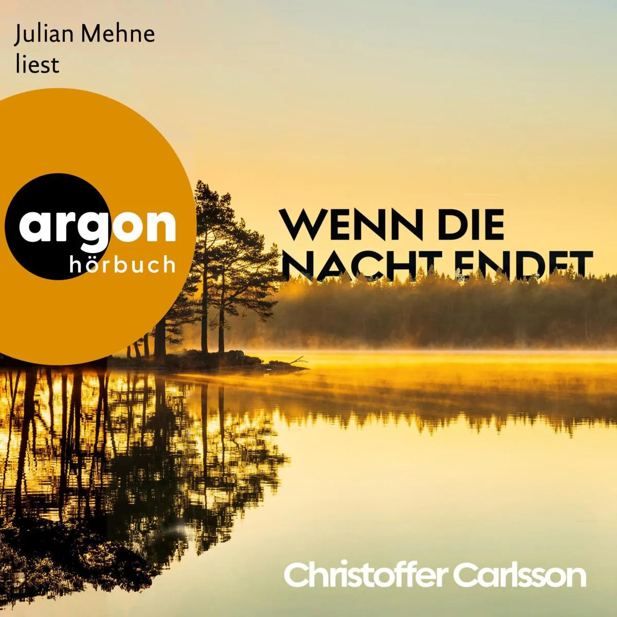Cover: Wenn die Nacht endet (Hörbuch Download) von Christoffer Carlsson