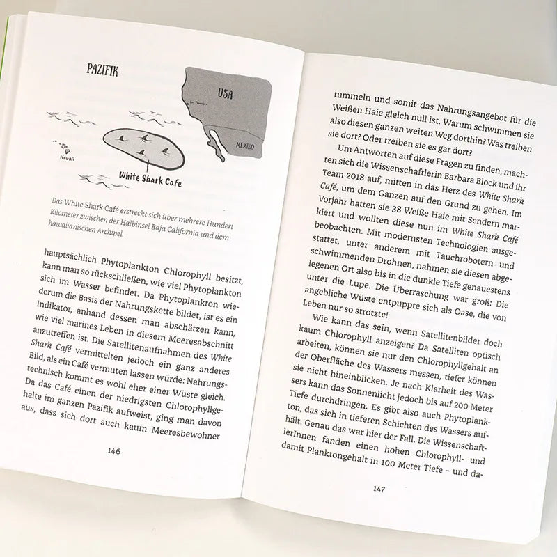 Produktansicht: Wenn Haie leuchten (Taschenbuch)