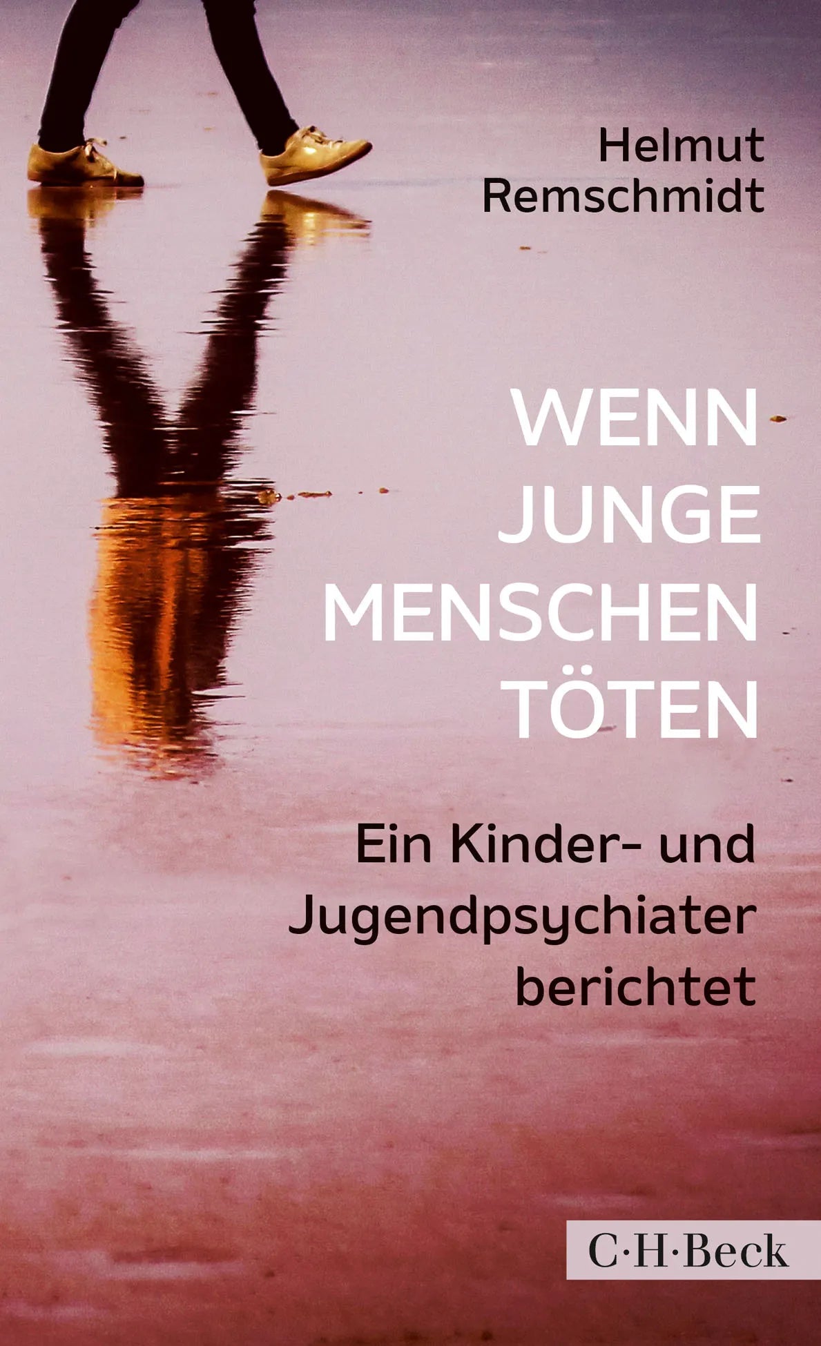 Buchcover von 'Wenn junge Menschen töten' - Taschenbuch von Helmut Remschmidt