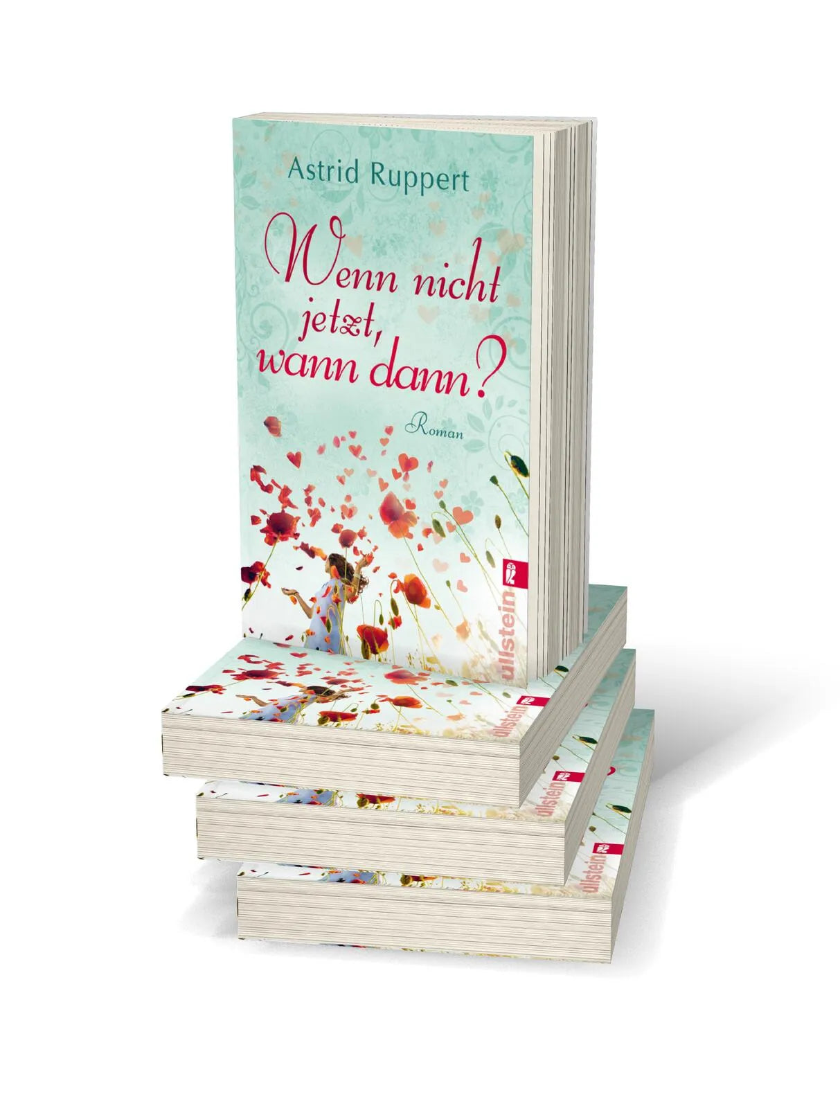 Produktansicht: Wenn nicht jetzt, wann dann? (Taschenbuch)