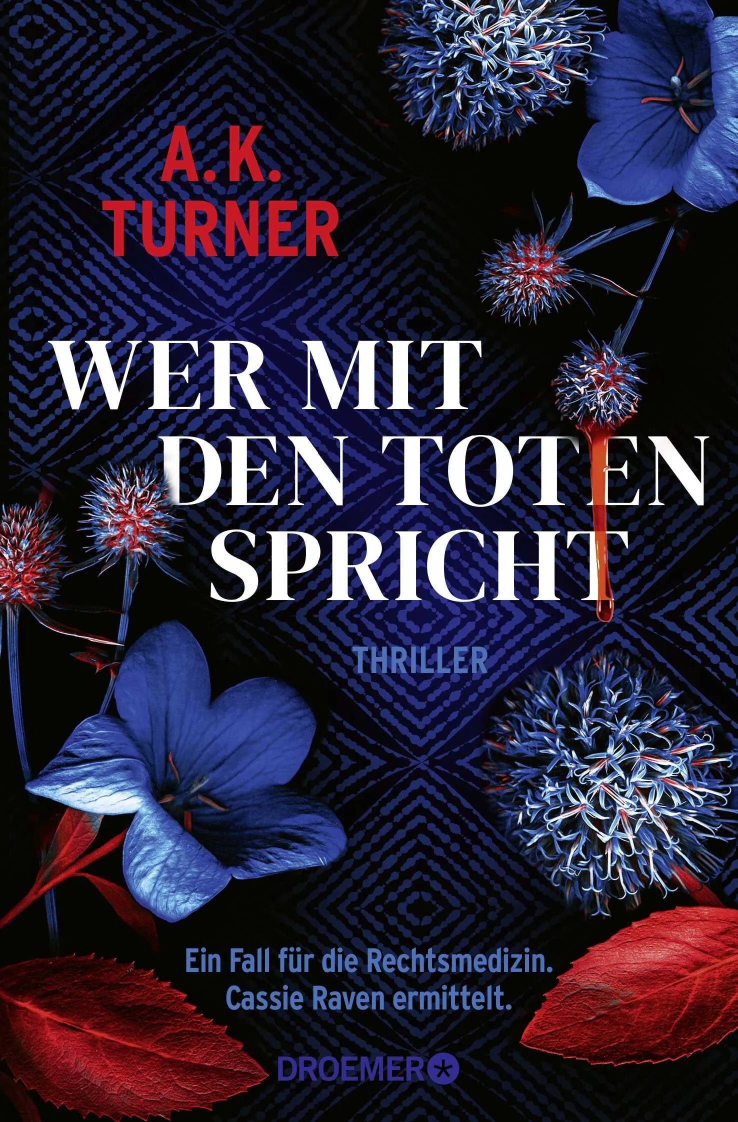 Buchcover von 'Wer mit den Toten spricht' - Taschenbuch von A. K. Turner