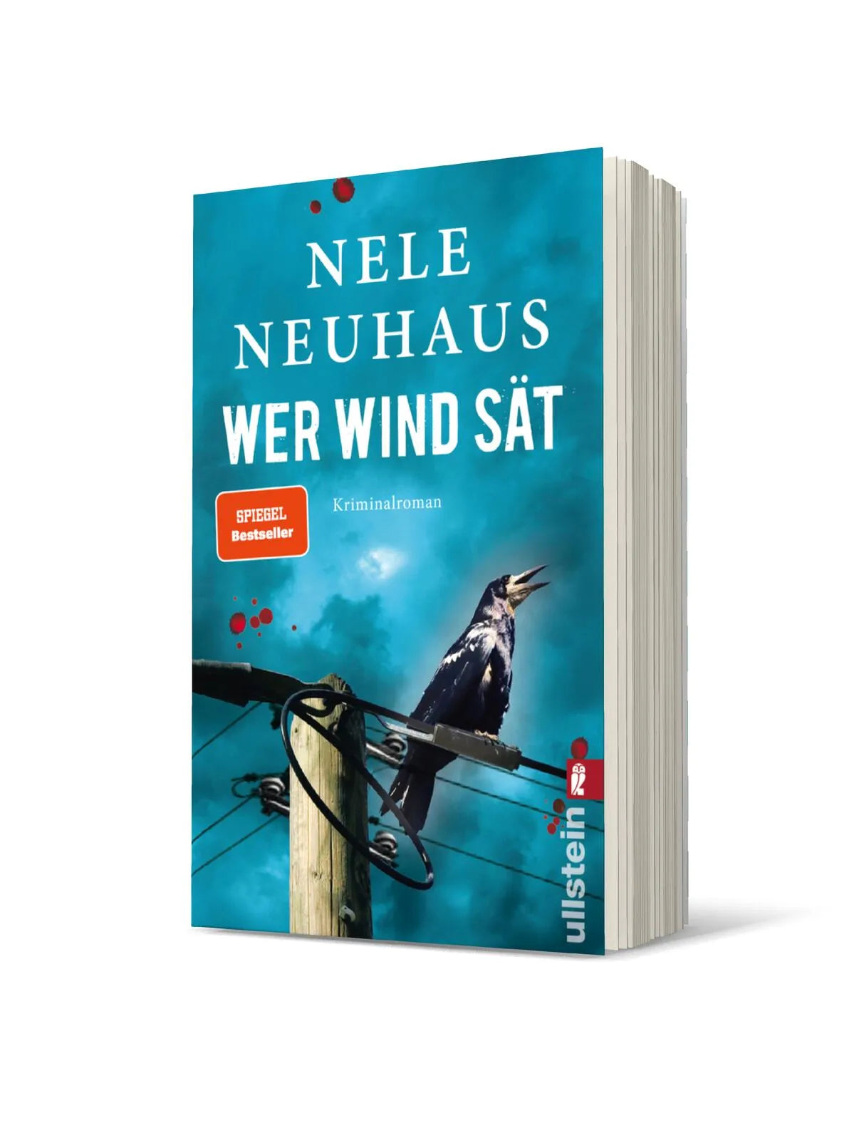 Produktansicht: Wer Wind sät (Taschenbuch)