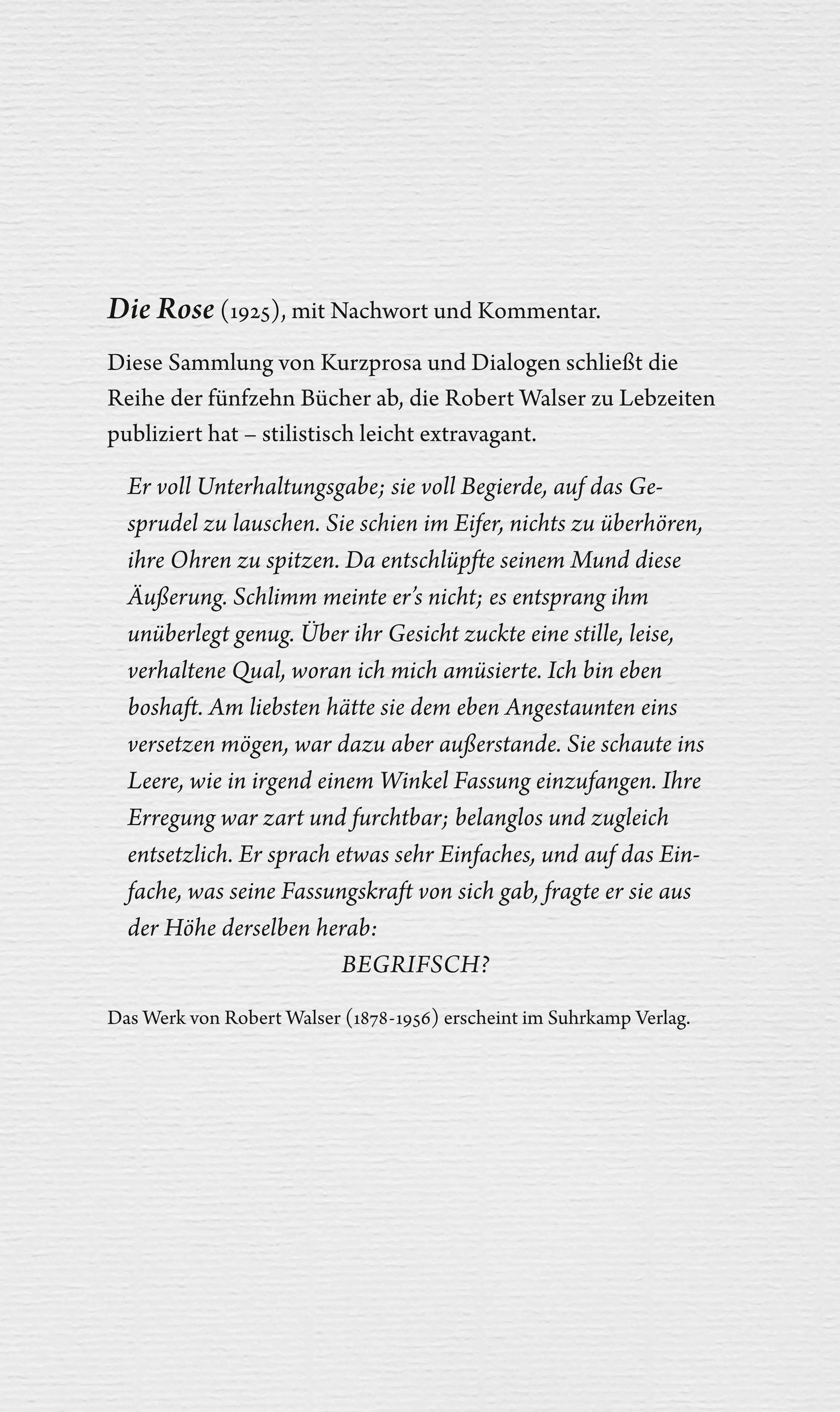 Buchrückseite von 'Werke. Berner Ausgabe' mit Klappentext - Taschenbuch