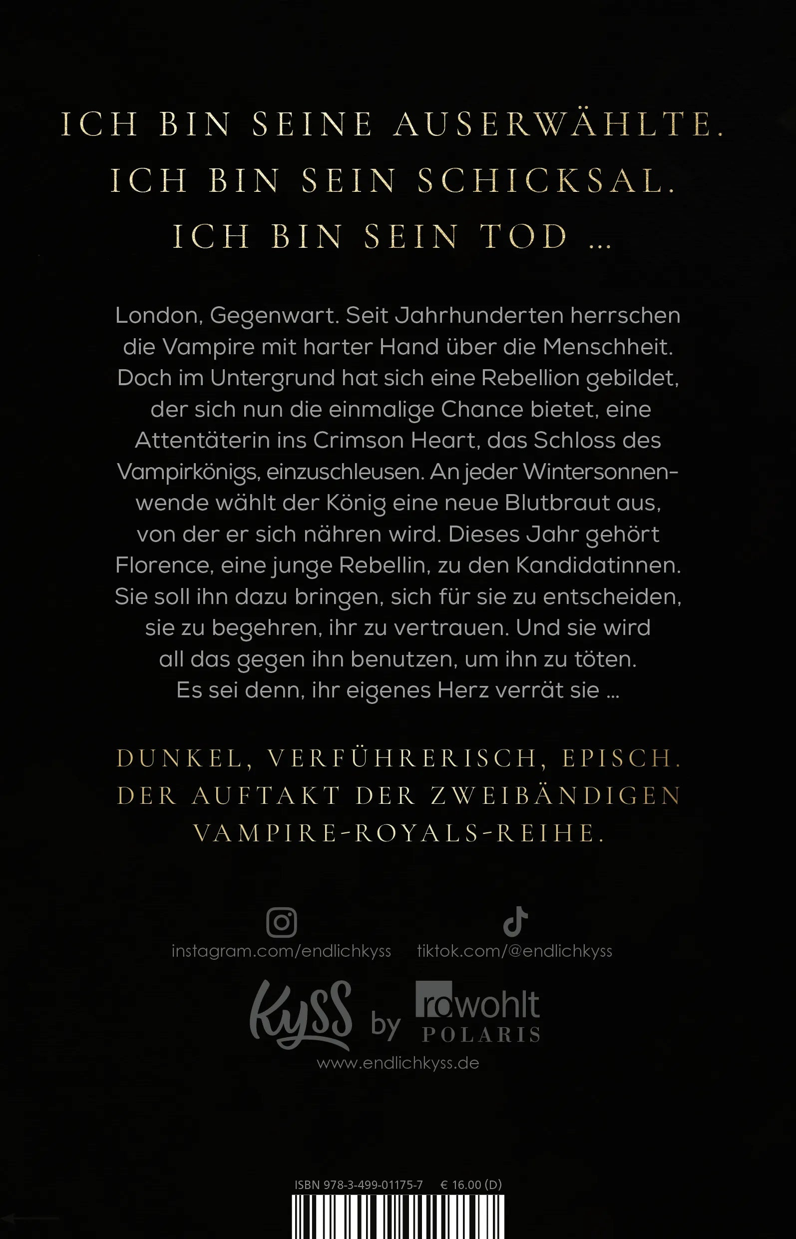 Buchrückseite von 'When The King Falls' mit Klappentext - Paperback