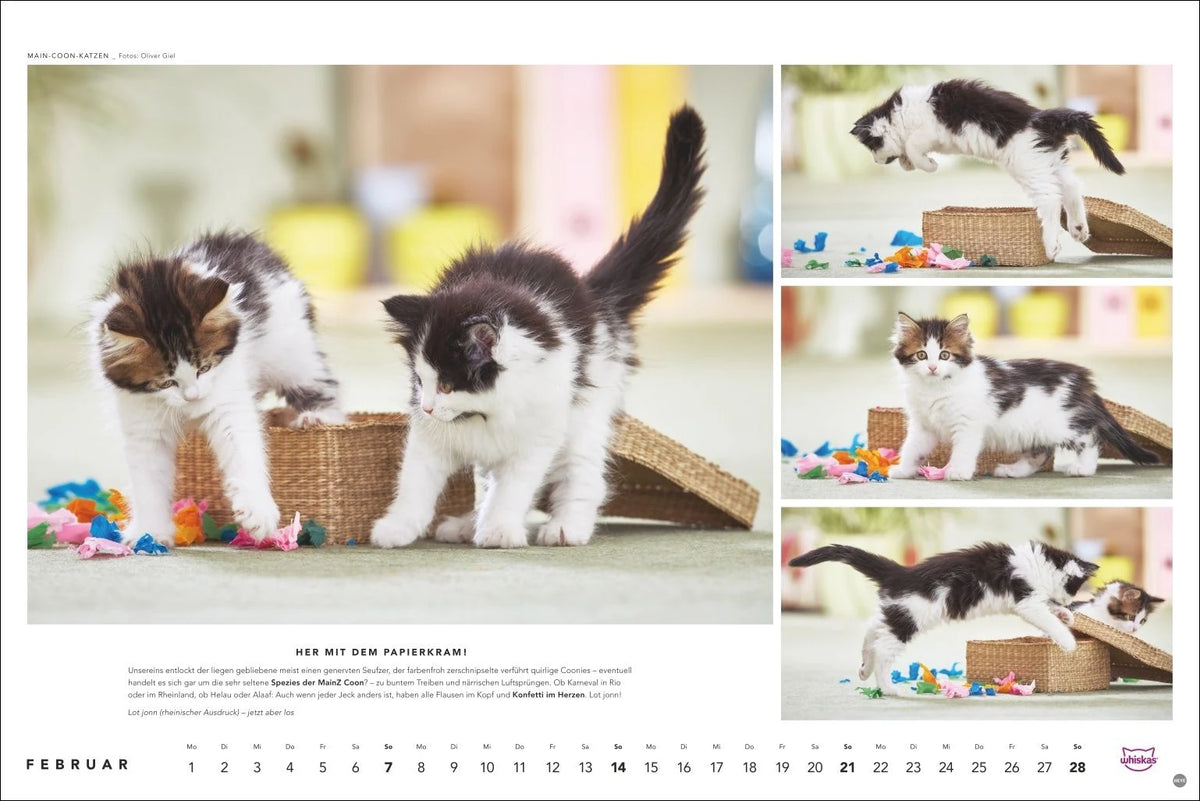 Whiskas Katzenkalender 2027 – Ansicht