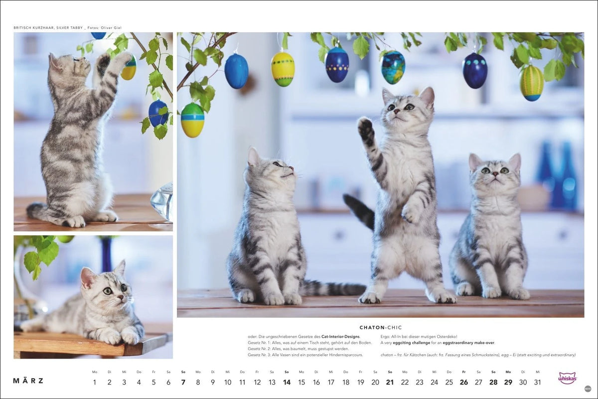 Whiskas Katzenkalender 2027 – Ansicht