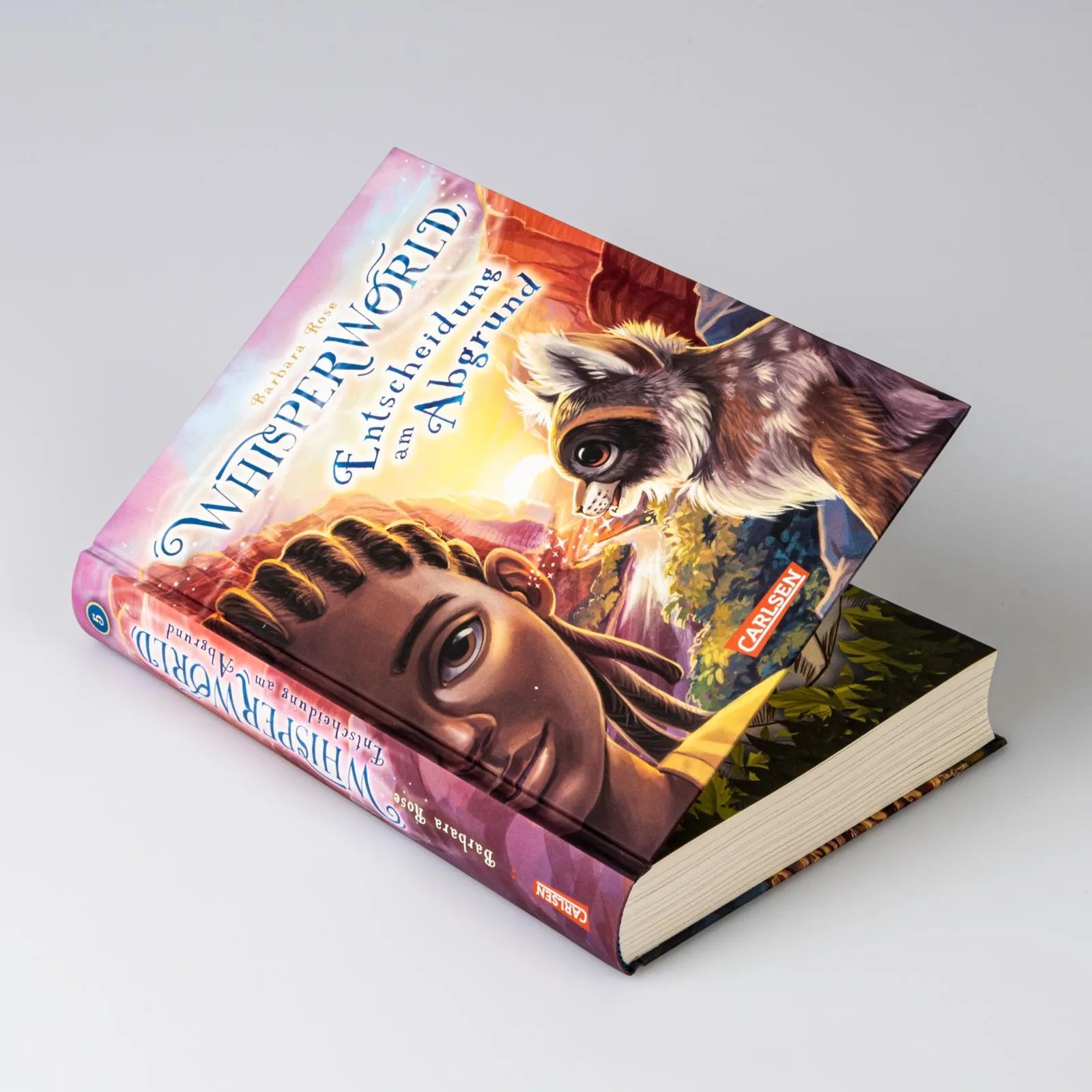 Barbara Rose - Whisperworld 5: Entscheidung am Abgrund