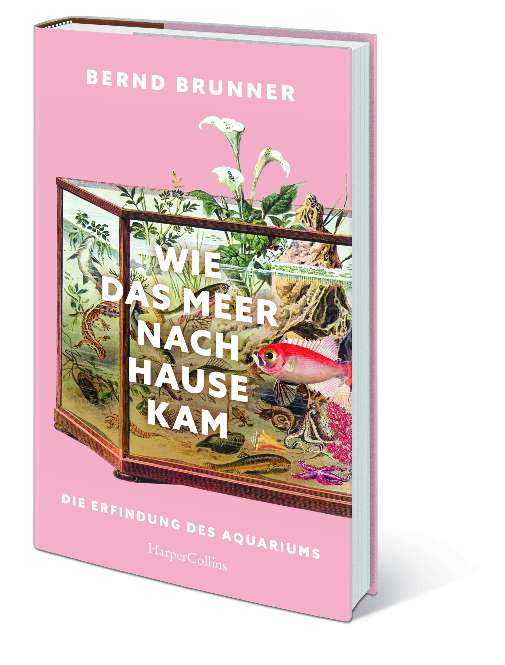 Bernd Brunner - Wie das Meer nach Hause kam. Die Erfindung des Aquariums