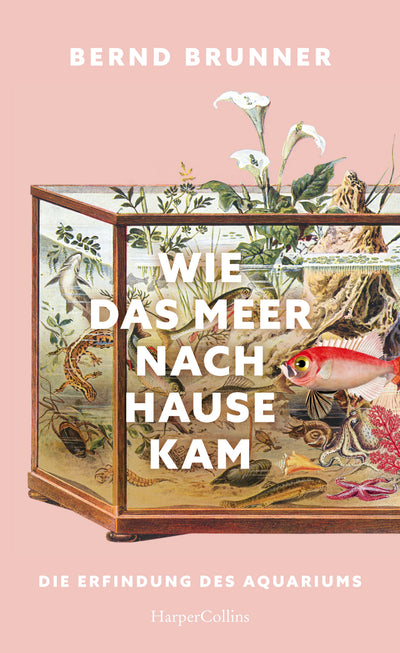Wie das Meer nach Hause kam. Die Erfindung des Aquariums