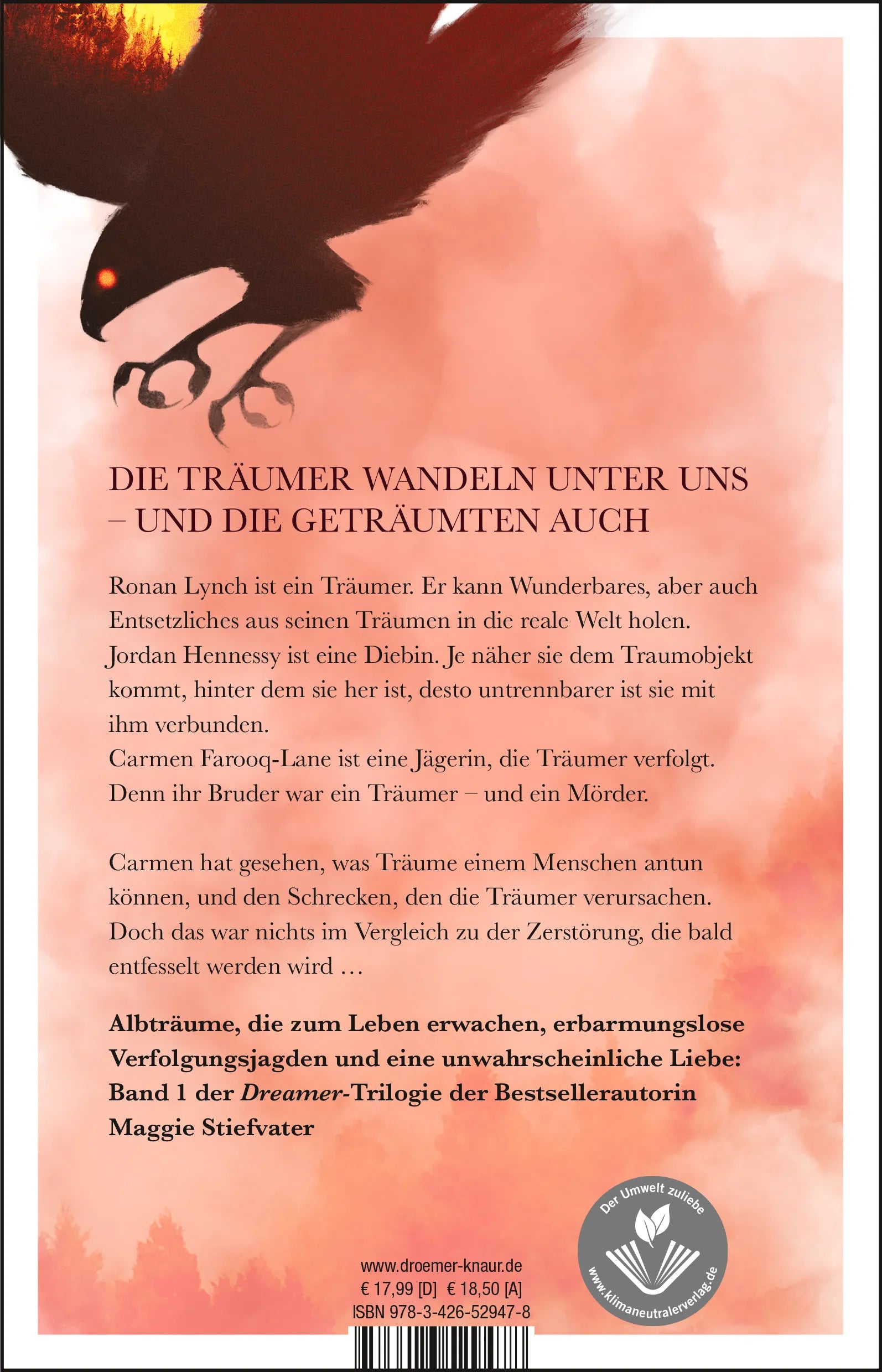 Buchrückseite von 'Wie der Falke fliegt' mit Klappentext - Paperback