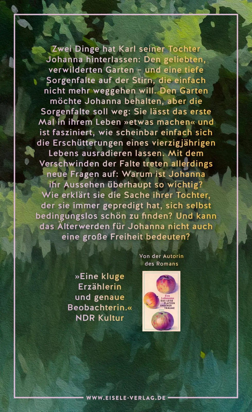 Buchrückseite von 'Wie du mich ansiehst' mit Klappentext - Gebundene Ausgabe