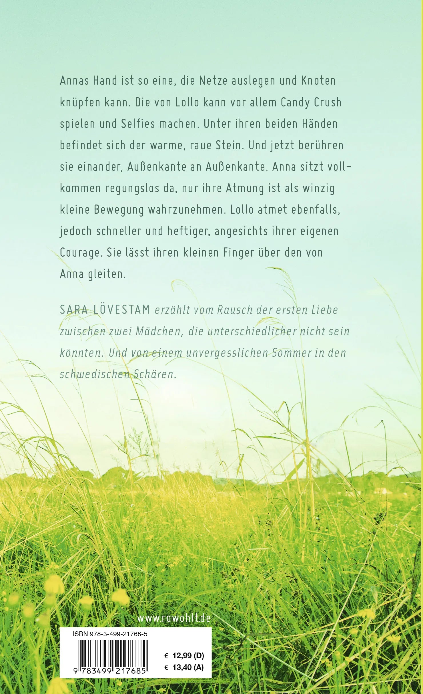 Buchrückseite von 'Wie ein Himmel voller Seehunde' mit Klappentext - Paperback