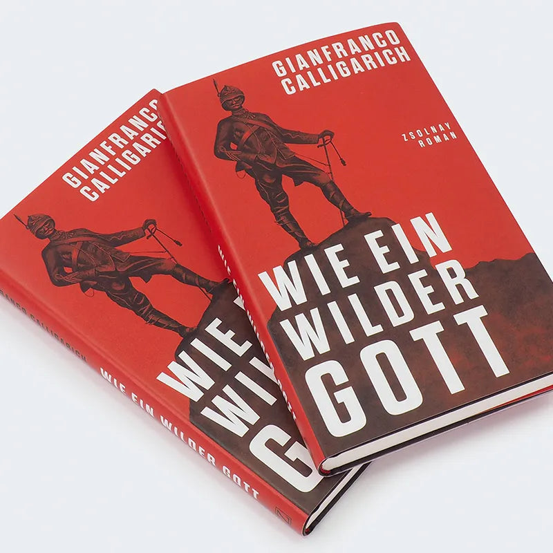 Abbildung von 'Wie ein wilder Gott'
