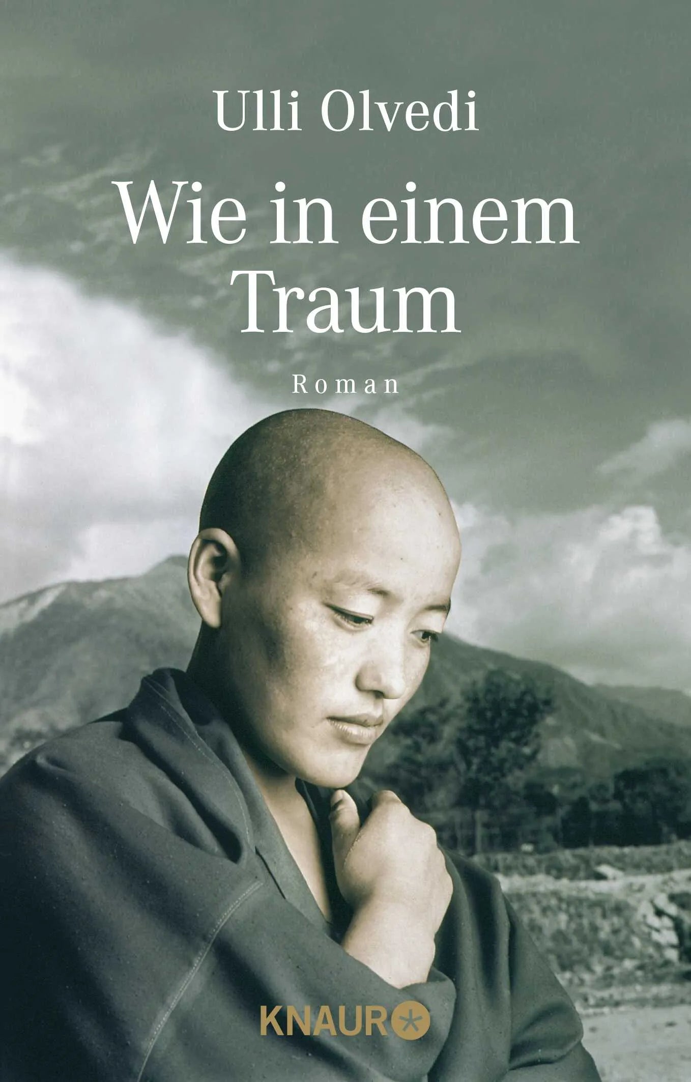 Buchcover von 'Wie in einem Traum' - Taschenbuch von Ulli Olvedi
