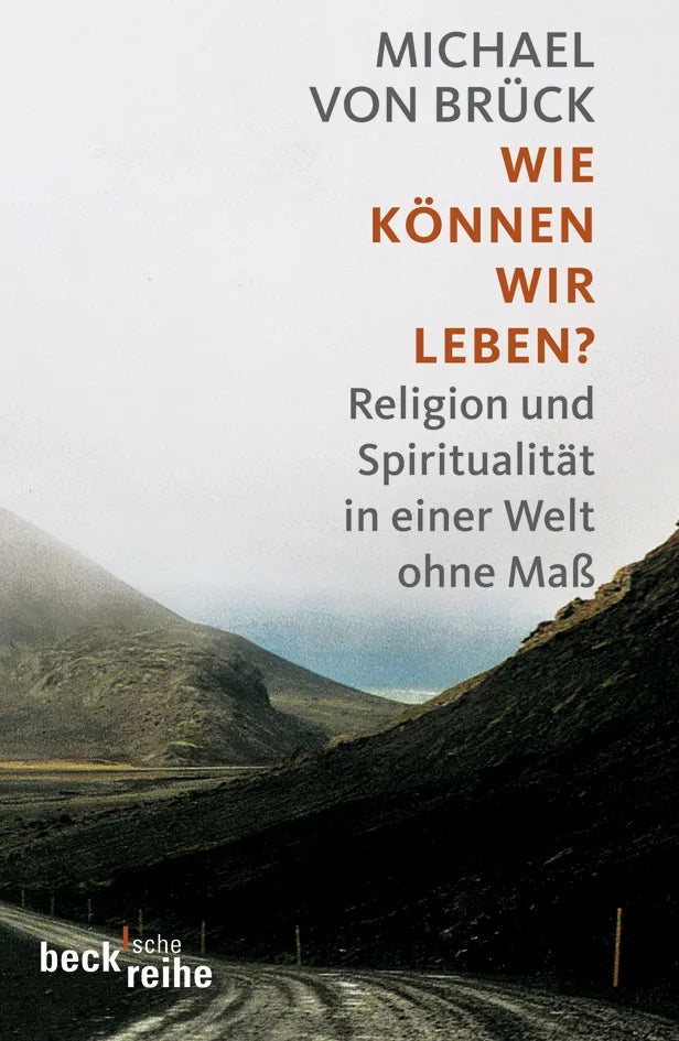 Buchcover von 'Wie können wir leben?' - Taschenbuch von Michael Brück