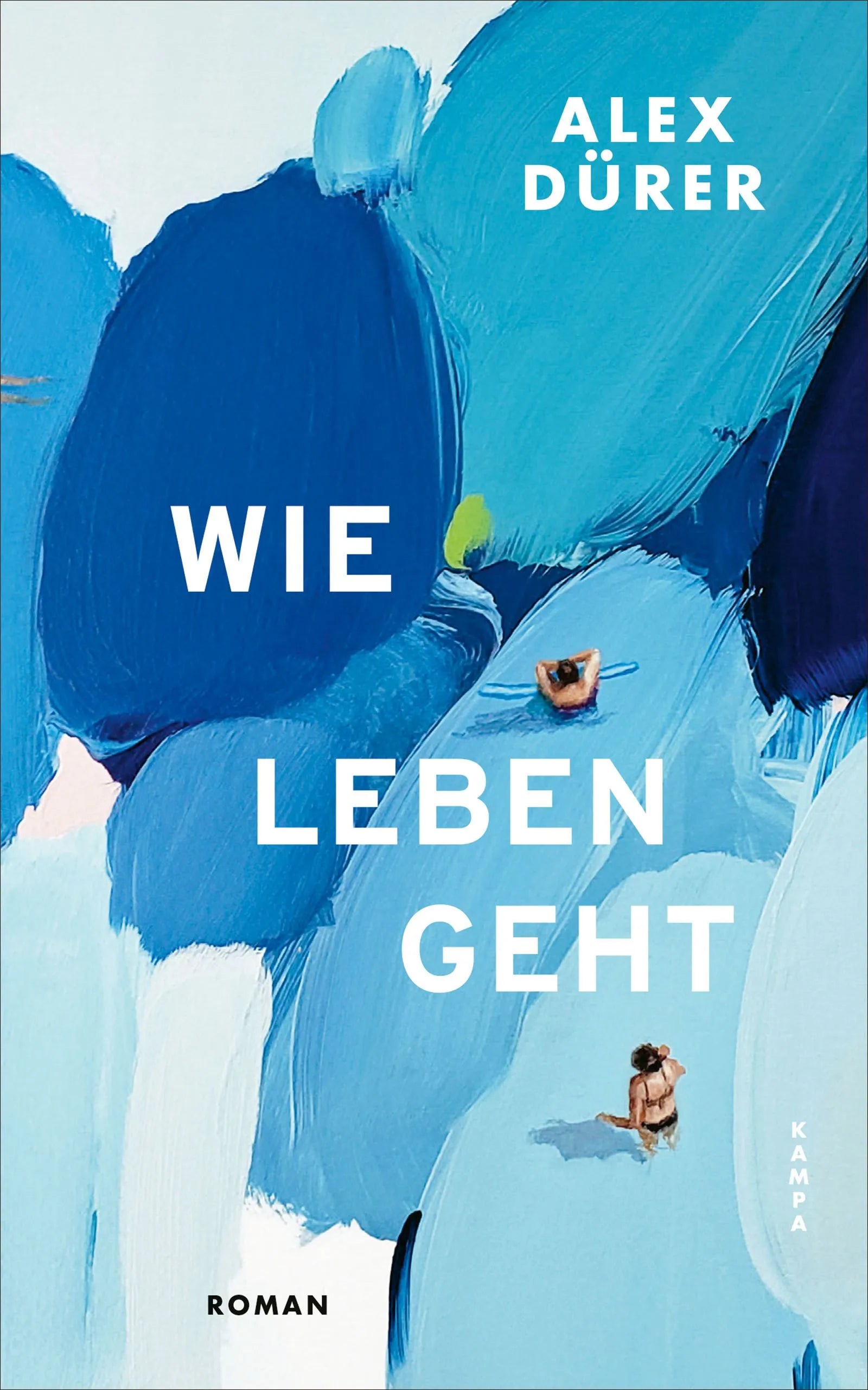 Cover: Wie leben geht (Hardcover) von Alex Dürer