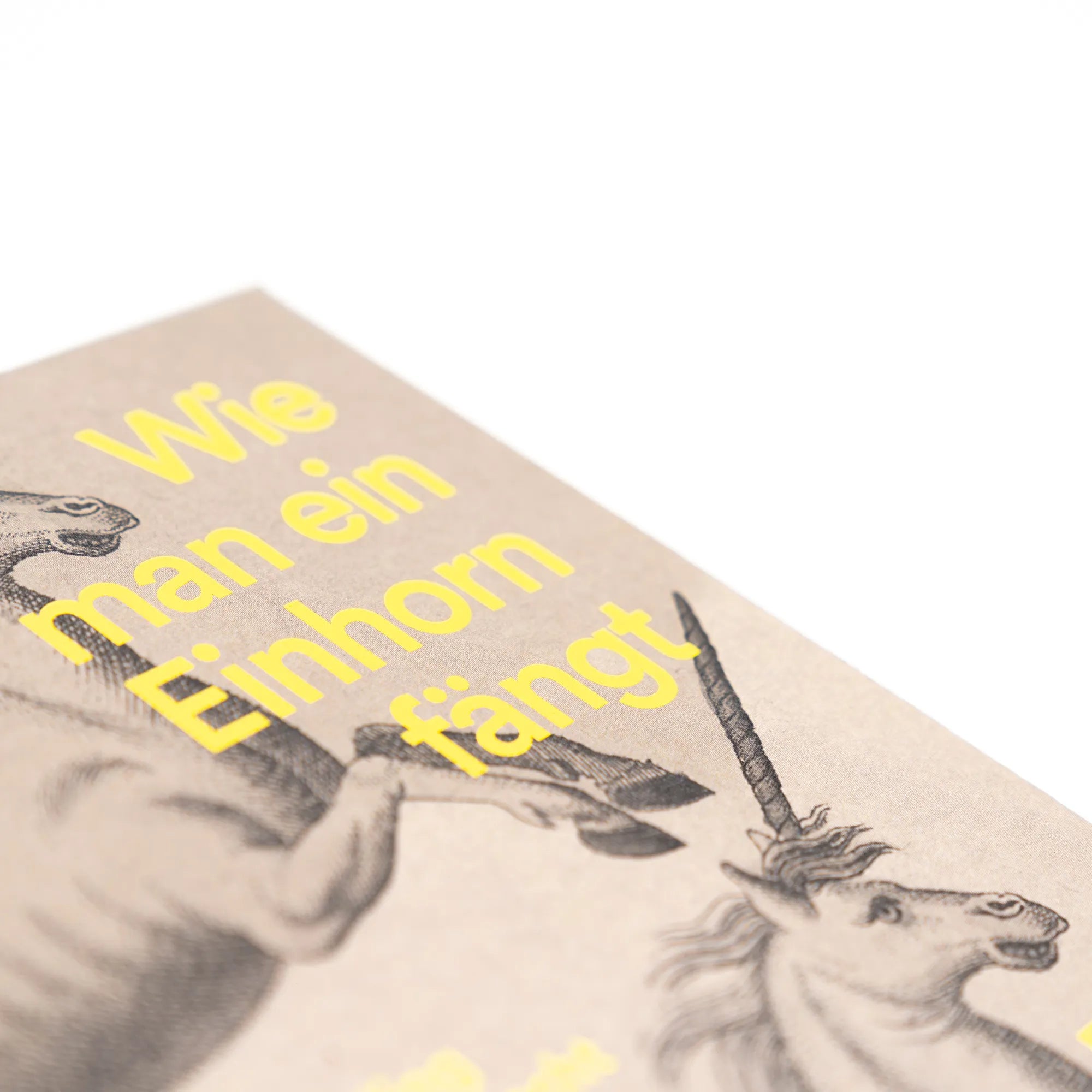 Abbildung von 'Wie man ein Einhorn fängt. Eine fantastische Kulturgeschichte | MIT ZAHLREICHEN FARBABBILDUNGEN'