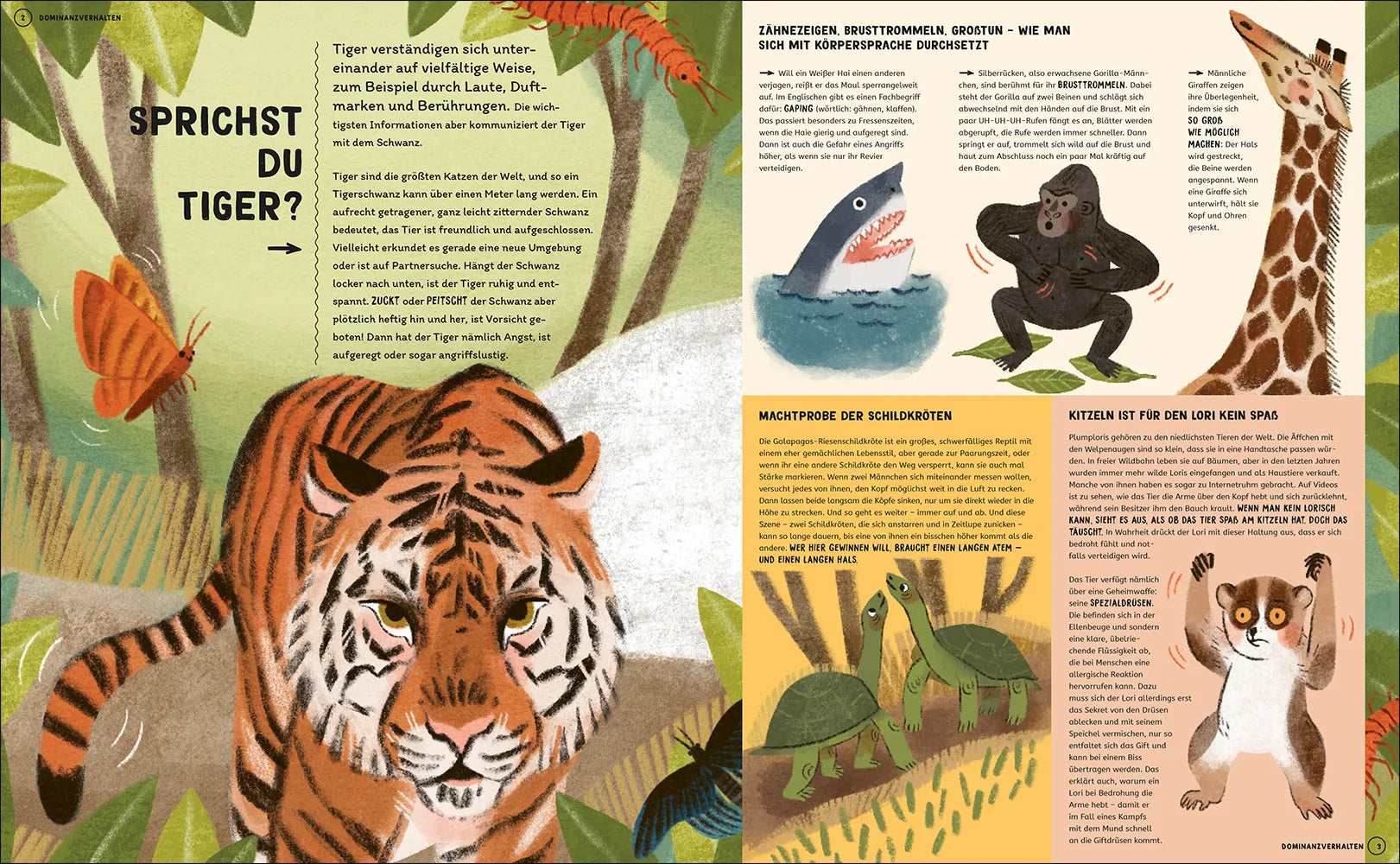 Produktansicht: Wie man mit Tigern spricht (Gebundene Ausgabe)