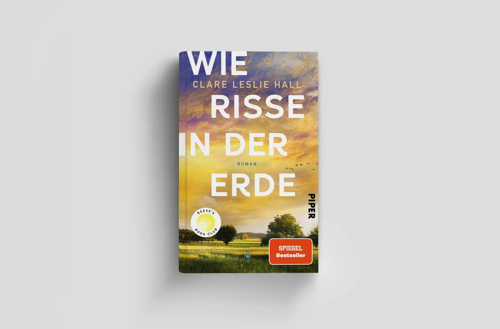 Detailansicht: Wie Risse in der Erde (Hardcover)