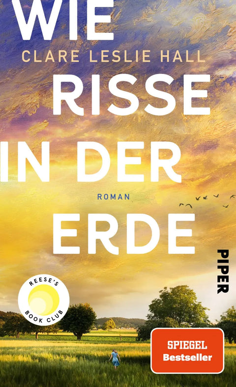 Wie Risse in der Erde