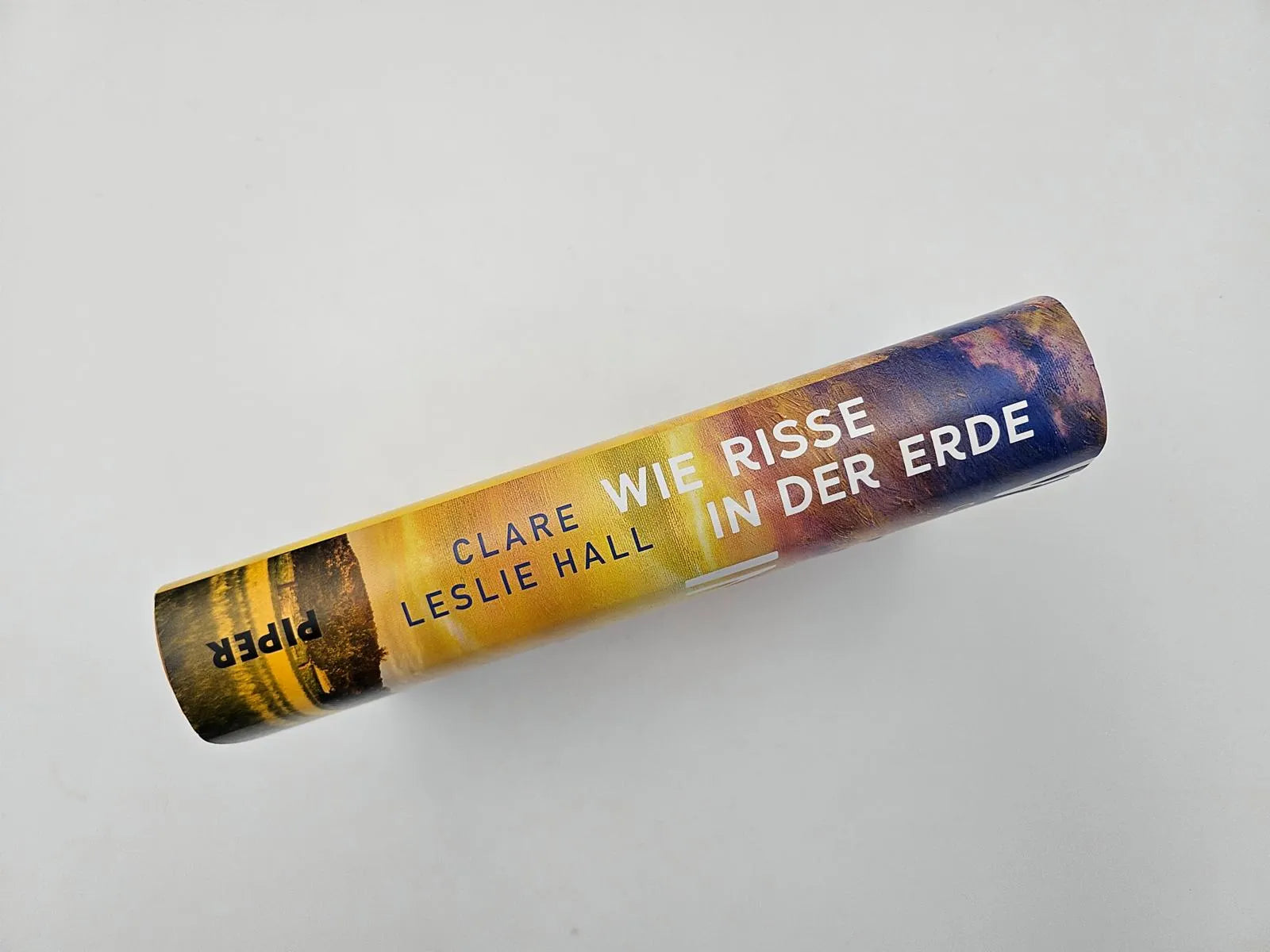 Detailansicht: Wie Risse in der Erde (Hardcover)