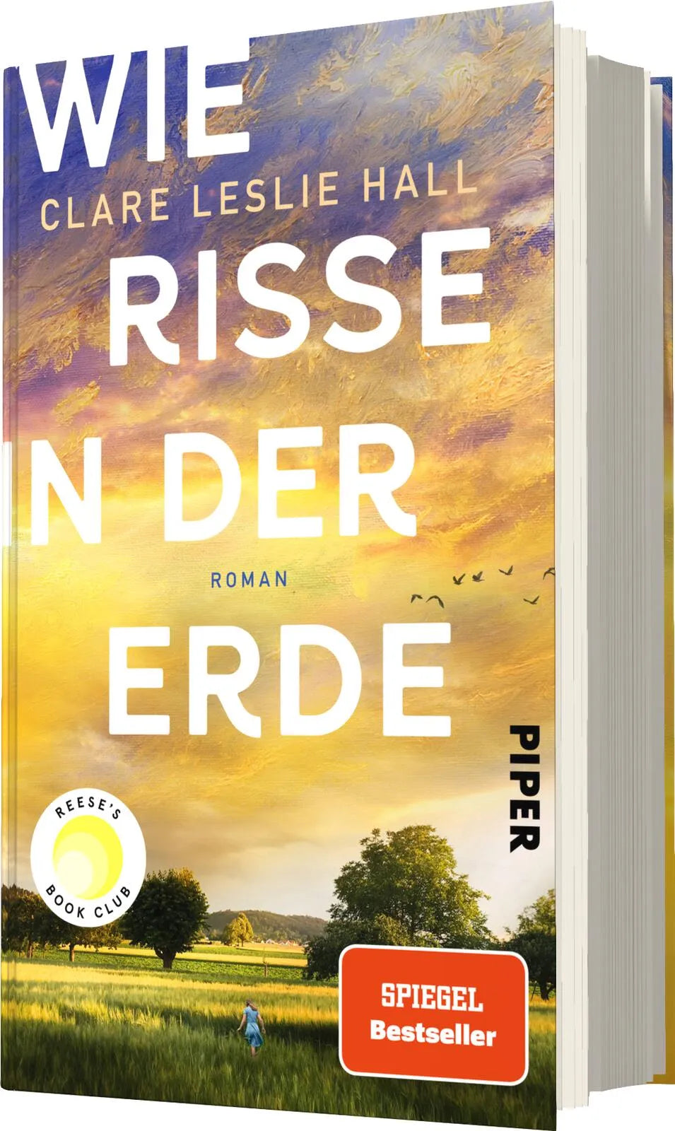 Detailansicht: Wie Risse in der Erde (Hardcover)